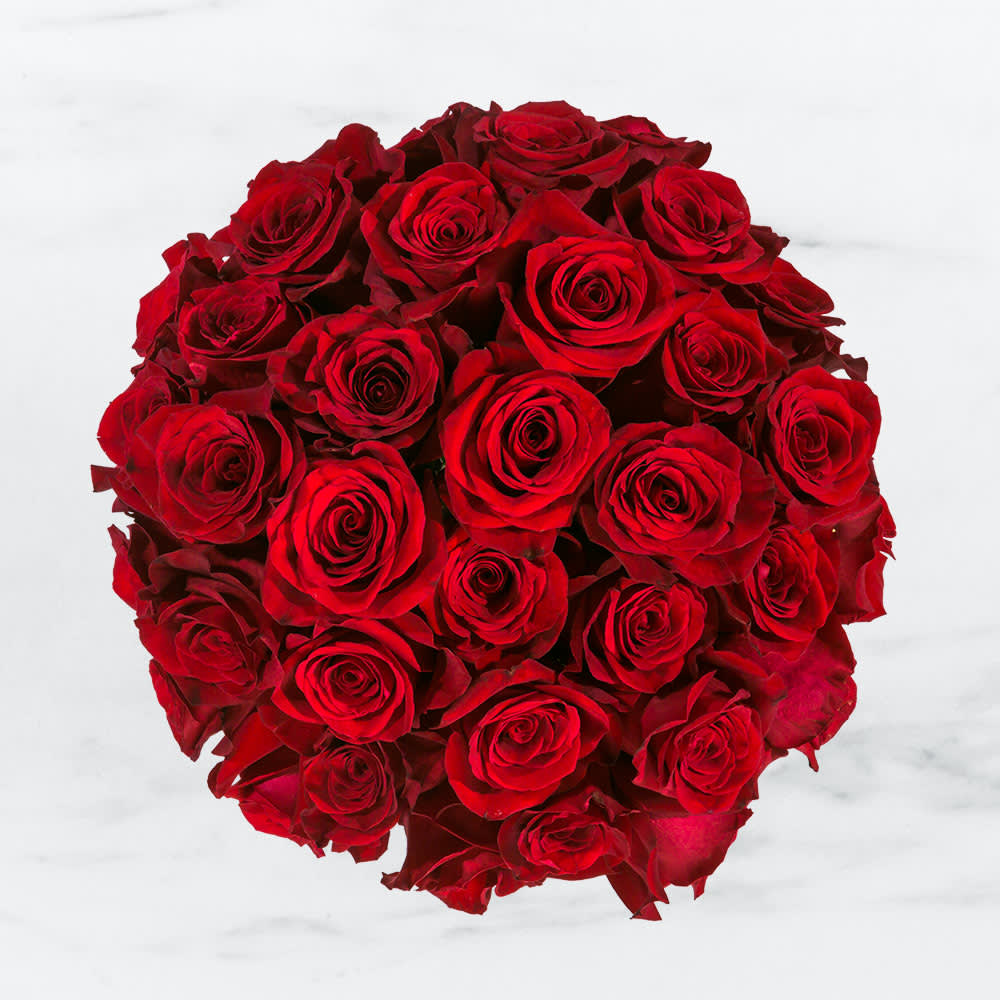 Three Dozen Red Roses by BloomNation™ - Make a bold statement with this beautifully simple design. Three Dozen Red Roses by BloomNation™ is the perfect gift for Valentine's Day, an Anniversary, or when anytime you're feeling romantic.   Arrangement Details: Three dozen red roses in a glass cylinder vase. Or you can request it as a Ramo Buchón. Please request it in the special instructions section.