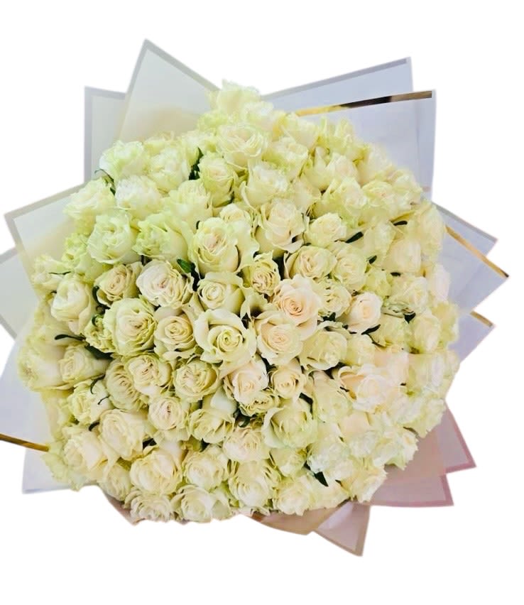 Ivory Embrace. (100 Roses) - This sophisticated bouquet gathers dozens of white roses into a tightly woven heart of purity and grace. Each rose is carefully arranged to create a lush, cloudlike effect, while the white wrapping with gold accents adds an air of luxury and understated glamour. The overall composition speaks of timeless elegance—perfect for weddings, heartfelt condolences, or celebrating meaningful milestones with poetic simplicity.