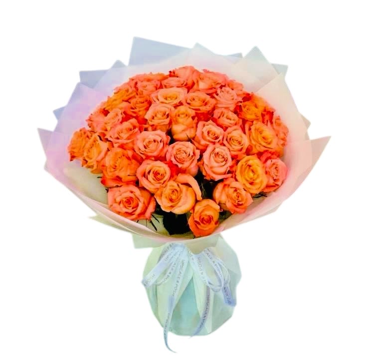 Citrus Caress (50 roses) - This radiant bouquet of orange roses is a joyful embrace of warmth and vitality. Wrapped in crisp white paper and tied with a soft white ribbon, the circular arrangement feels both polished and spontaneous—like a sunny breeze caught in a moment of grace. The color evokes zest, energy, and enthusiasm, making it a lovely gift for celebrations, fresh starts, or simply adding a splash of brightness to someone’s day.