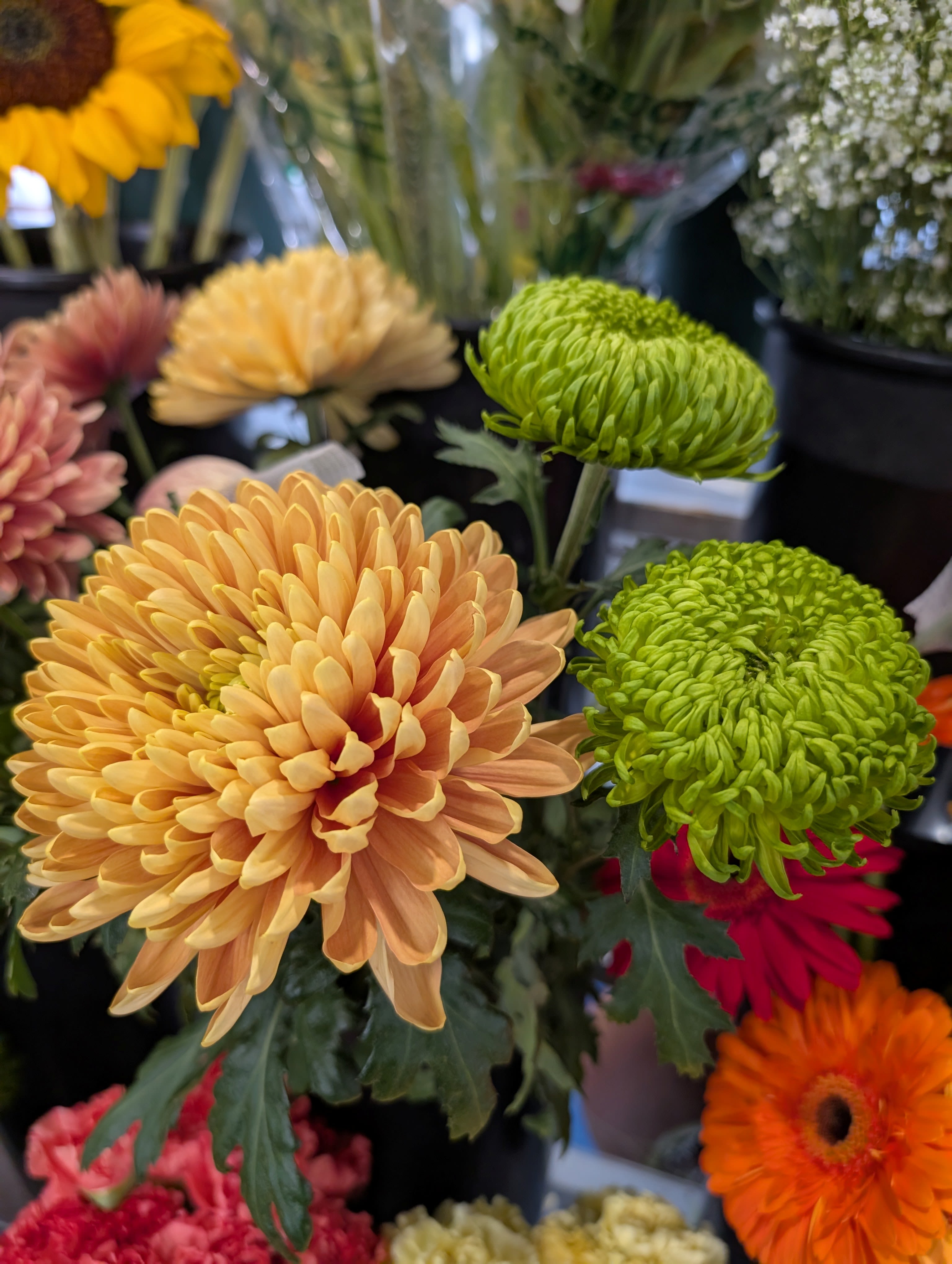 Chrysanthemum Hand Bouquet - An assortment of 6 Chrysanthemums and other fillers