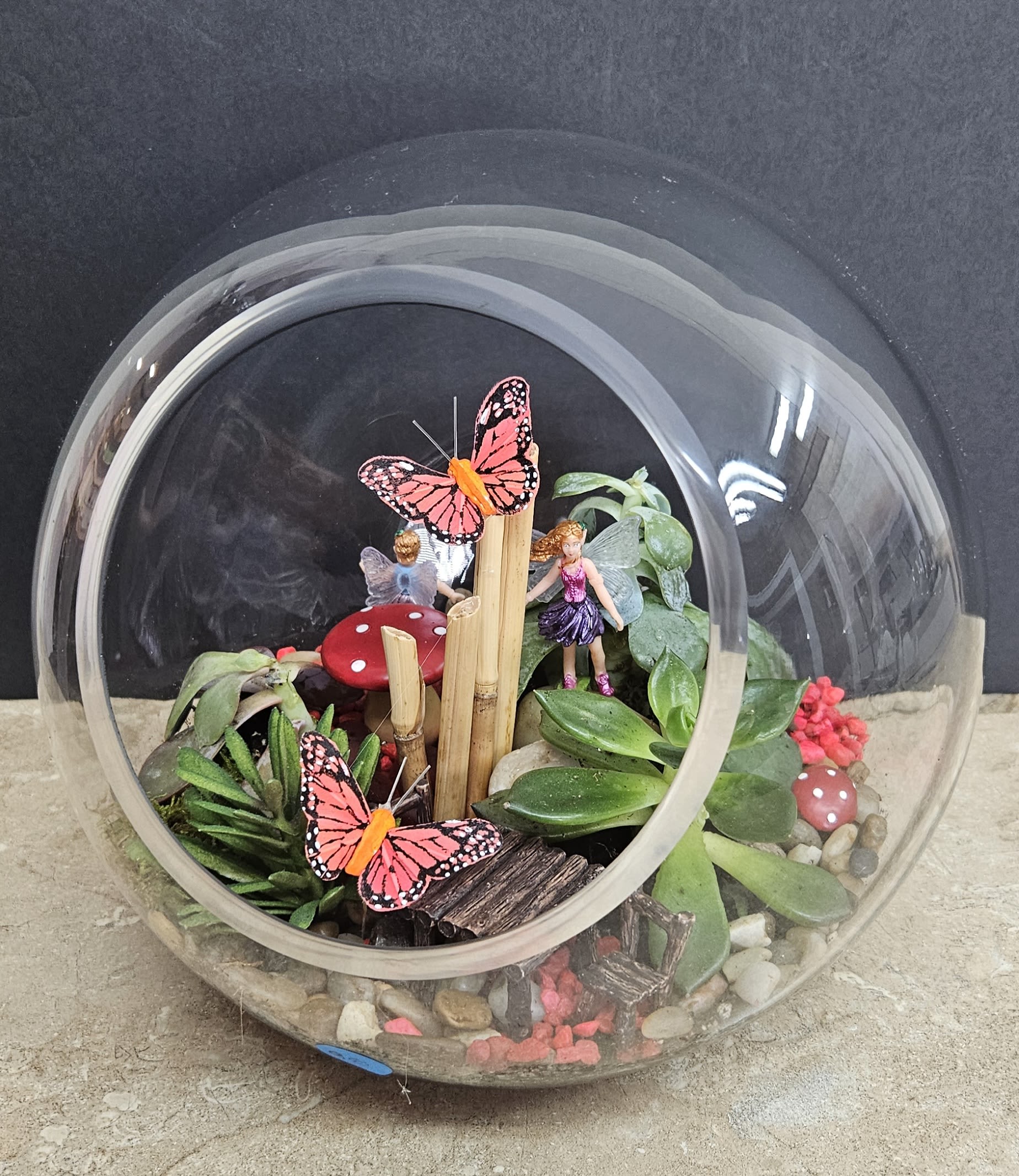 Succulent Terrarium with Fairy Village - Beautiful Terrarium with butterflies, fairies and cute table set up
