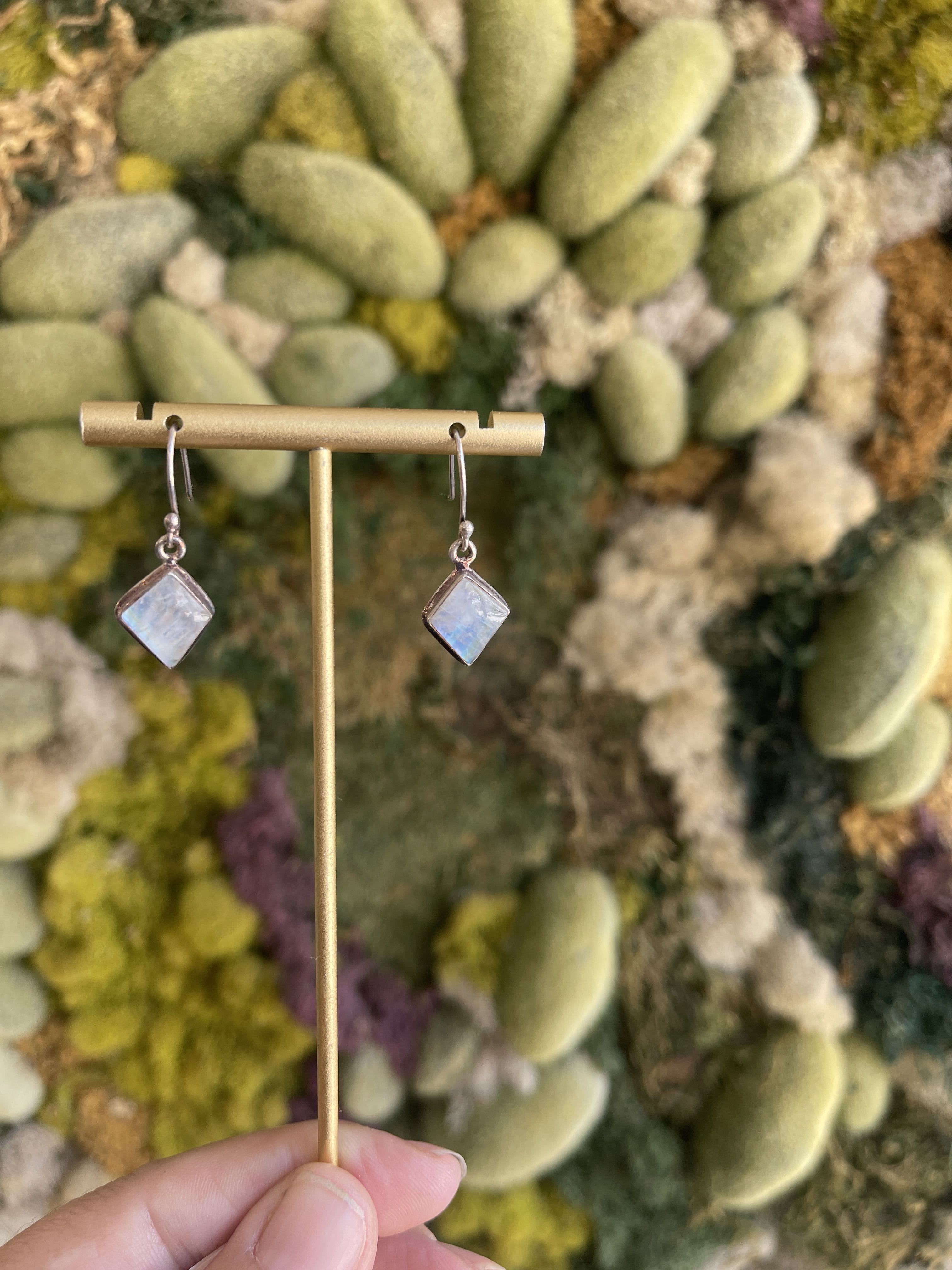 Moonstone Earrings - Sterling Silver 