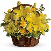 2corazones basket - This delightful arrangement is so full of sunny blossoms, it even includes a pretty yellow butterfly who obviously feels right at home, basking in the warmth.