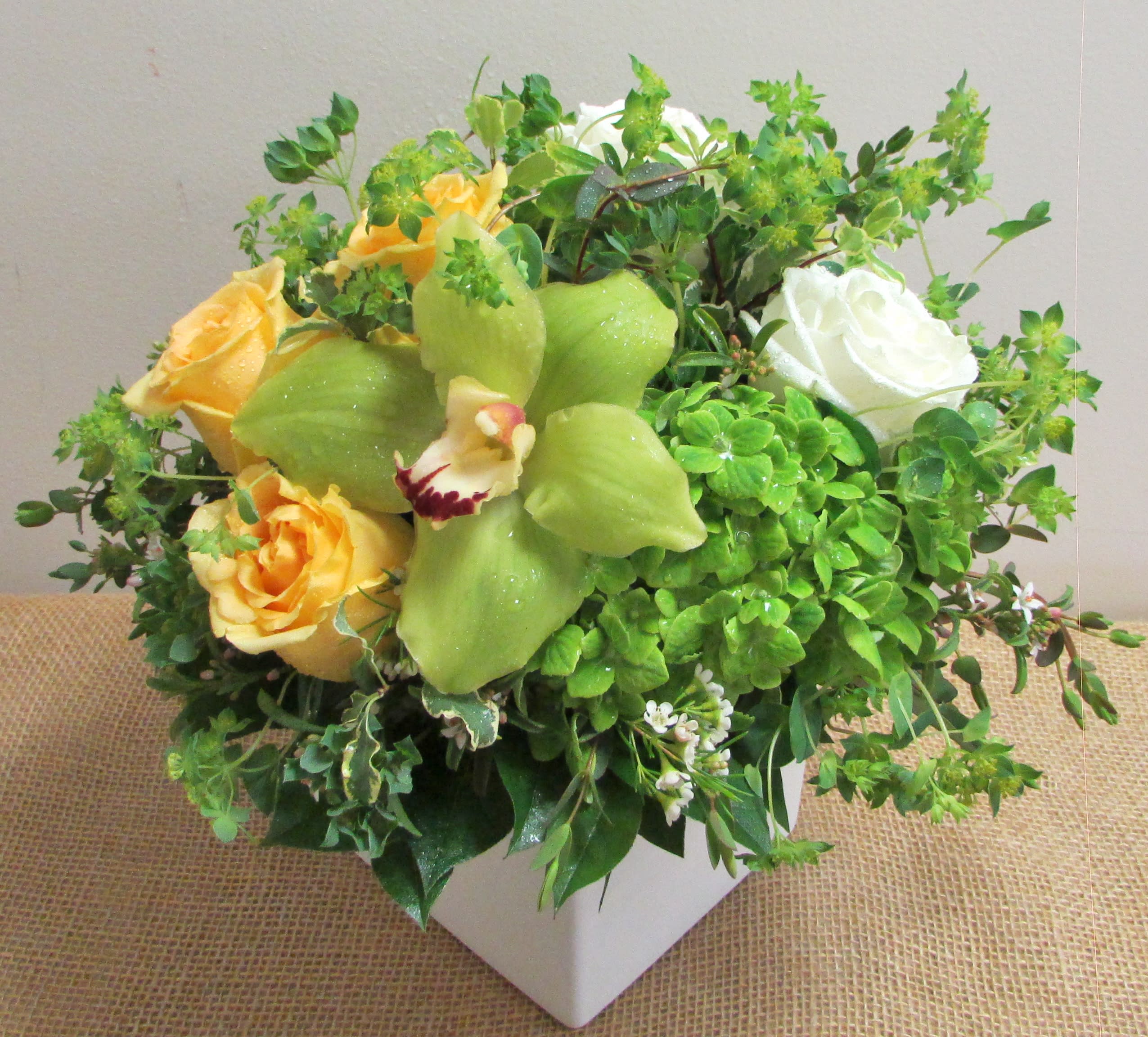 Live Happily Live Happily - A beautiful arrangement of roses, hydrangea and cymbidium orchid and finished off with delicate greenery in a white cube ceramic planter.