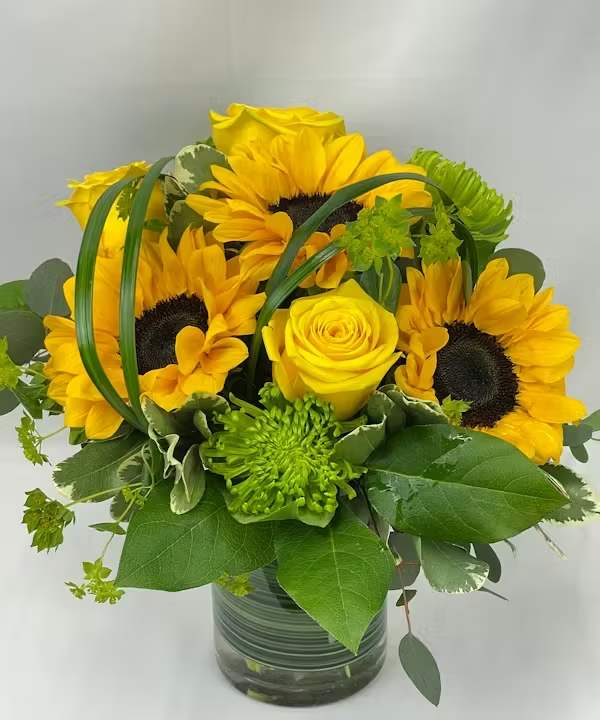 Sunshine Medly - Let the golden glow of majestic sunflowers lift spirits. Complementing their brilliance, a symphony of yellow roses, green spider mums, and graceful lily grass dance together in perfect harmony, enhancing the allure of this vibrant composition. This expertly crafted design sits in an elegant leaf-wrapped cylinder vase and exudes sun-kissed bliss.