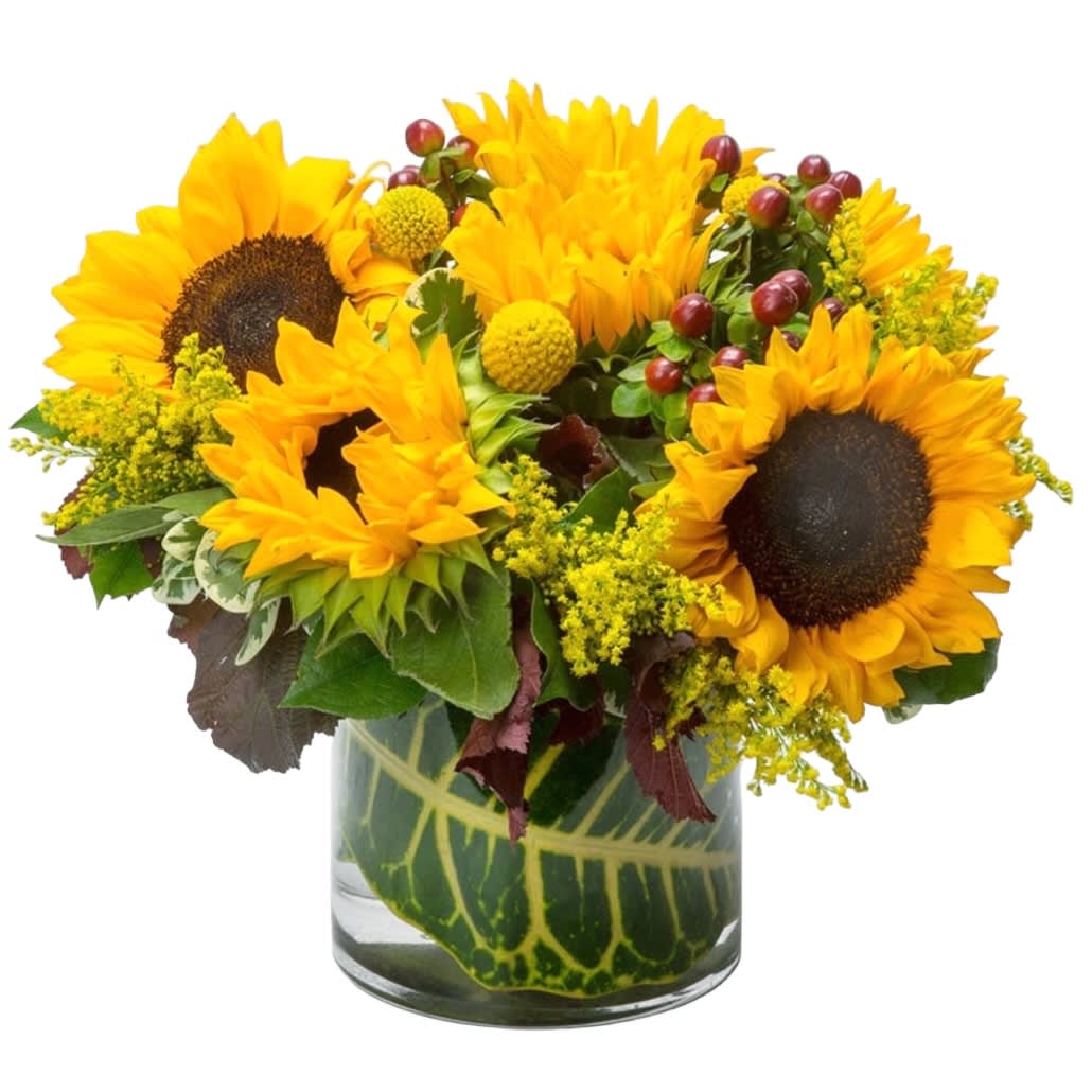 Sunny Sunflowers  - Sunflowers are the greatest. This arrangement Has touches of red berries and solidago. Perfect for cheering someone up, a get well arrangement or even a birthday gift.