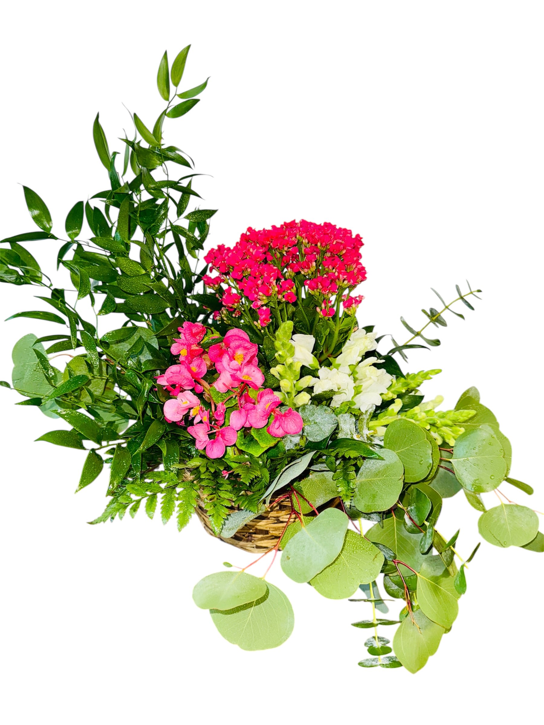 Botanical Embrace - This lush garden-style arrangement overflows with organic beauty and heartfelt warmth. Nestled in a woven basket, the piece blends pink begonias, red kalanchoe, and white snapdragons with cascading ferns, eucalyptus, and a variety of leafy greens for a naturally textured effect. It feels like a tender hug from nature—an abundant mix of softness, color, and earthy elegance that would brighten any space with its quietly joyful spirit.