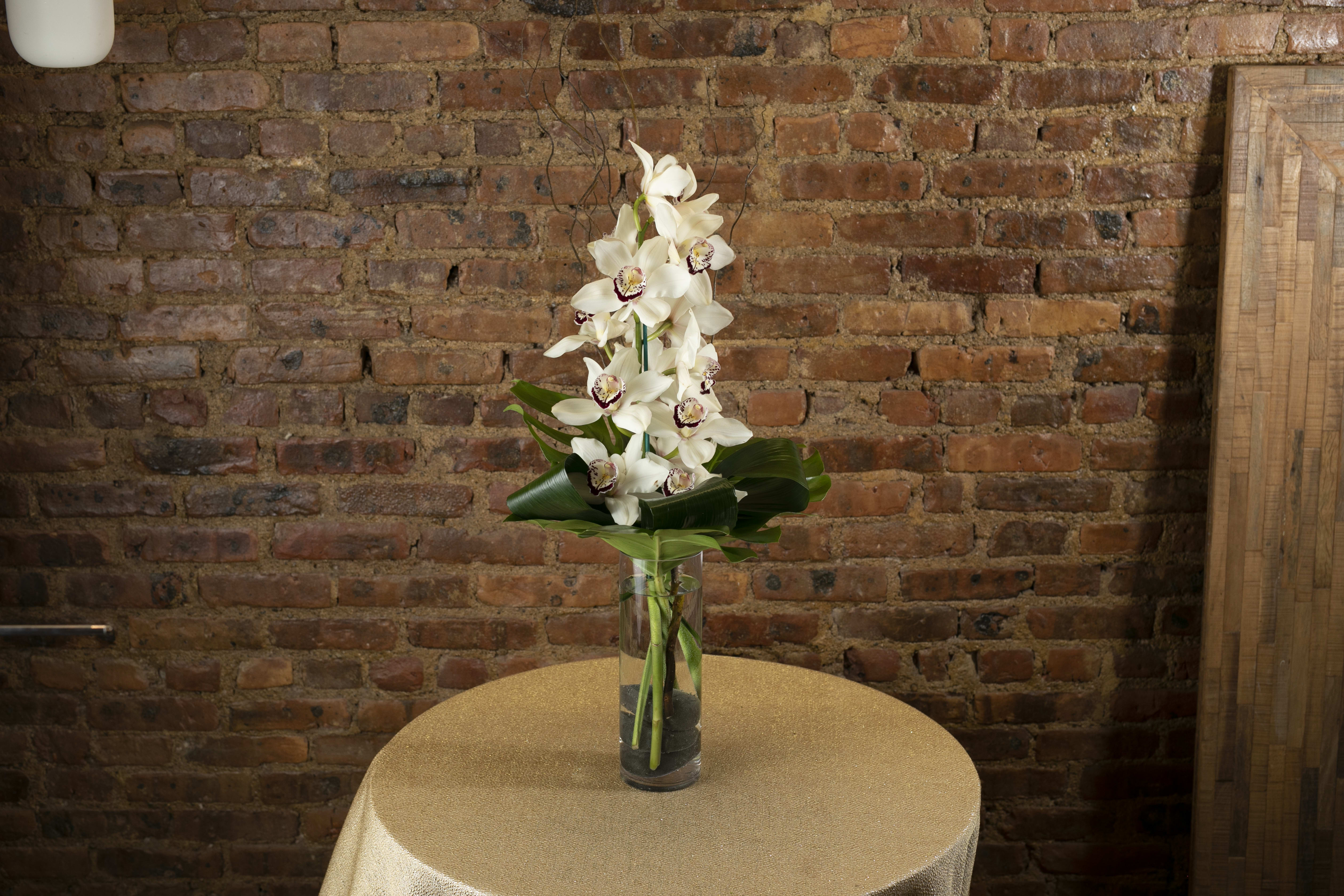 White Cymbidium Orchid - Exotic White Cymbidium Orchid Blooms, elegantly designed with tropical Monsetra leaves and Aspidistra leaves. Designed in a sleek glass cylinder.  Orientation: One Sided All prices in USD ($) Standard (Shown), Deluxe, Premium