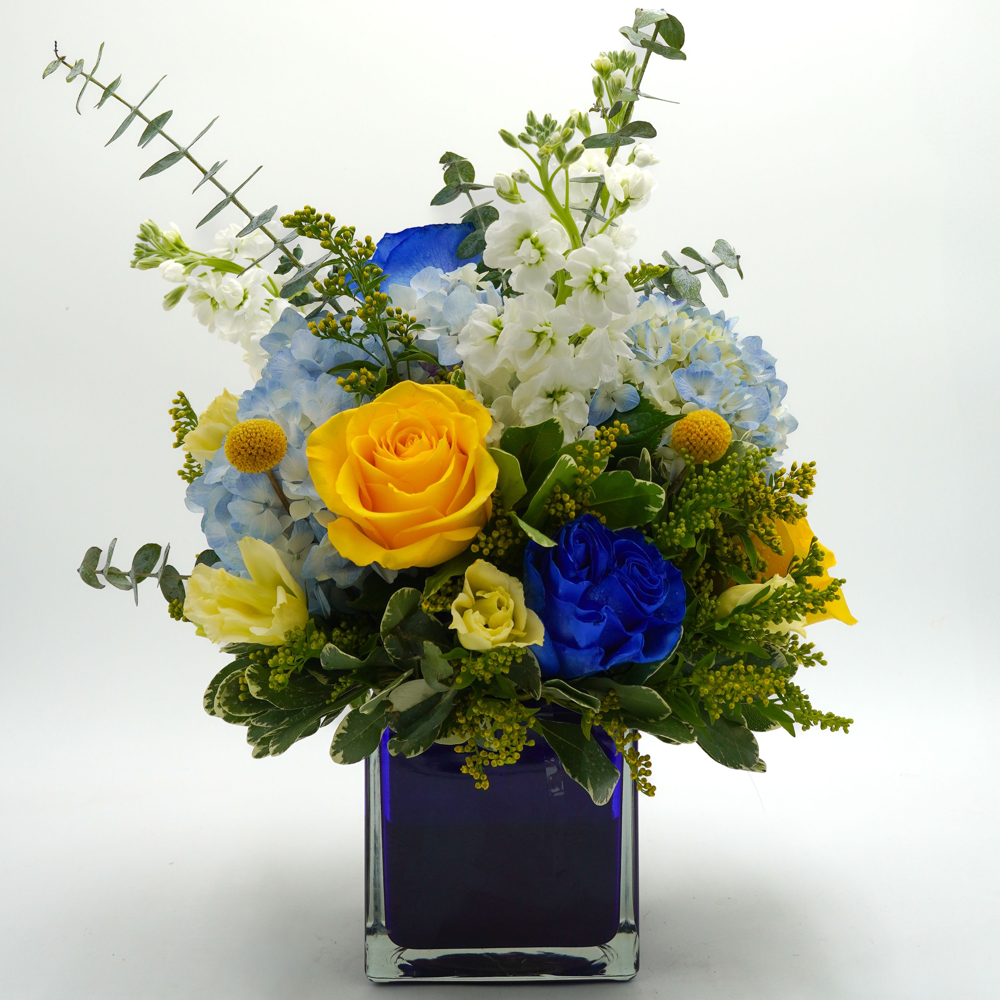 Blue &amp; Gold Radiance Bouquet - Brighten any space with this striking blend of bold yellow roses, vivid blue roses, and soft hydrangeas. Accented with cheerful Craspedia, delicate Lisianthus, fluffy white stock, and fresh eucalyptus, this modern arrangement bursts with vibrant color and elegant texture. Designed in a blue glass cube, it's the perfect piece for celebrations, thank-yous, or just because! 