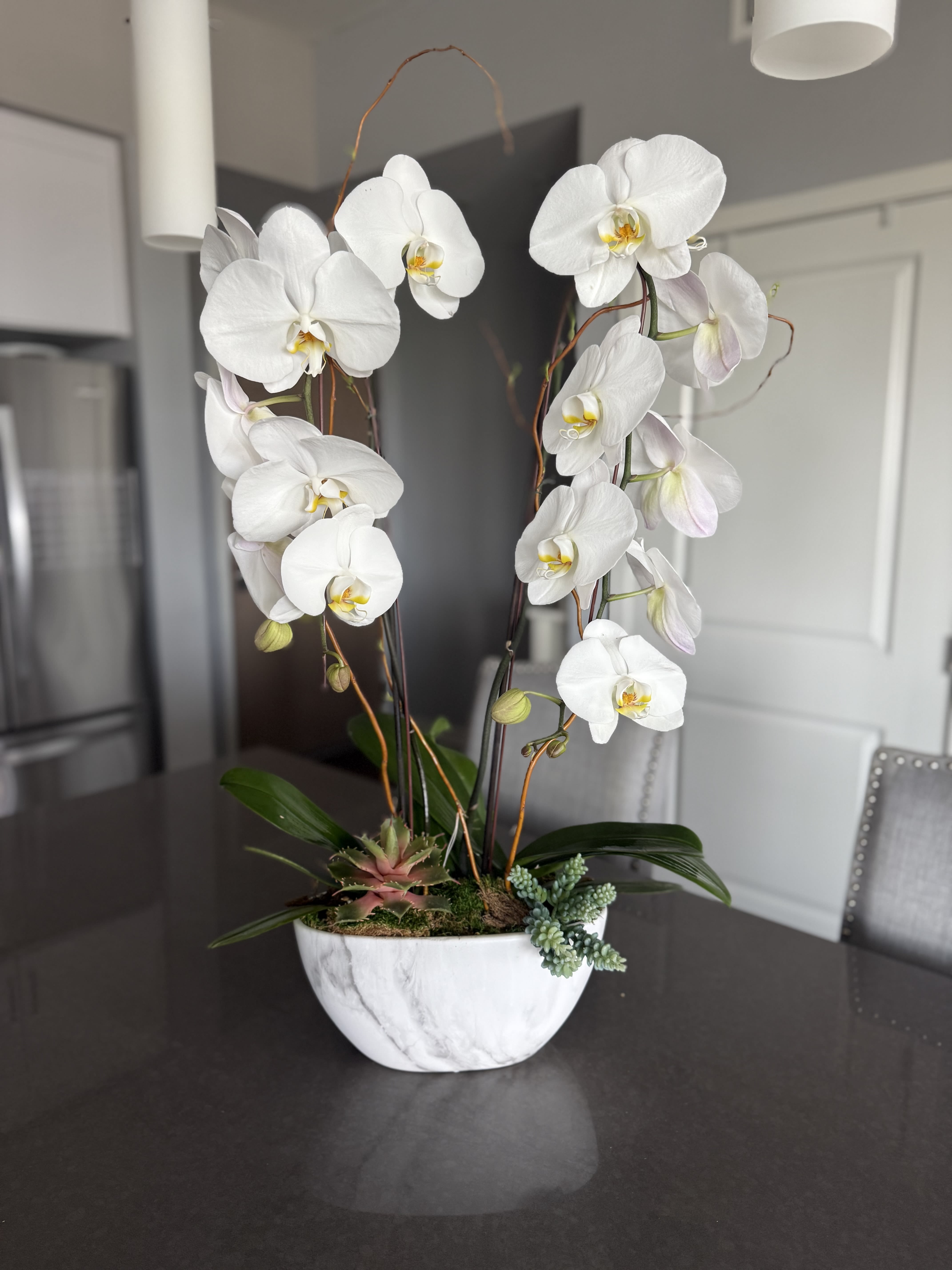 Serenity in Marble Serenity in Marble - Elevate your space with Serenity in Marble, a timeless orchid design by Touch of Orchids LA. This arrangement features double white Phalaenopsis orchid stems, artfully paired with succulents, moss, and curly willow accents in a sleek marble-textured ceramic bowl. Minimalist yet luxurious, it brings a calming, modern elegance to any setting. Ideal for corporate offices, hotel lobbies, high-end kitchens, entry tables, or as a thoughtful gift for any occasion. Available for local delivery in Los Angeles.