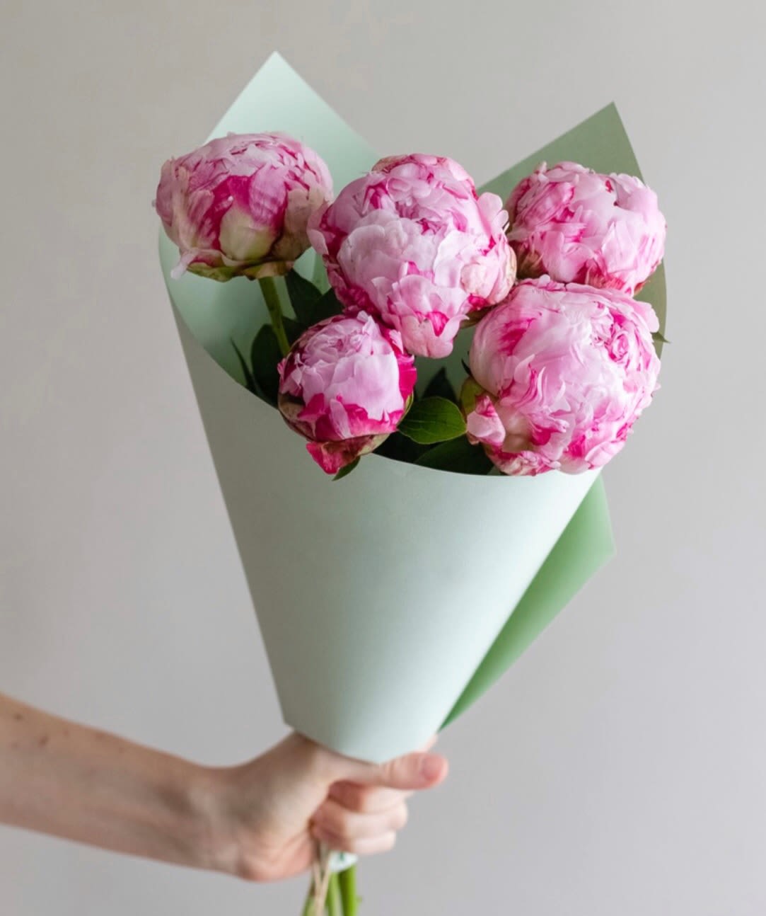 № 412 № 412 - Pink Peonies