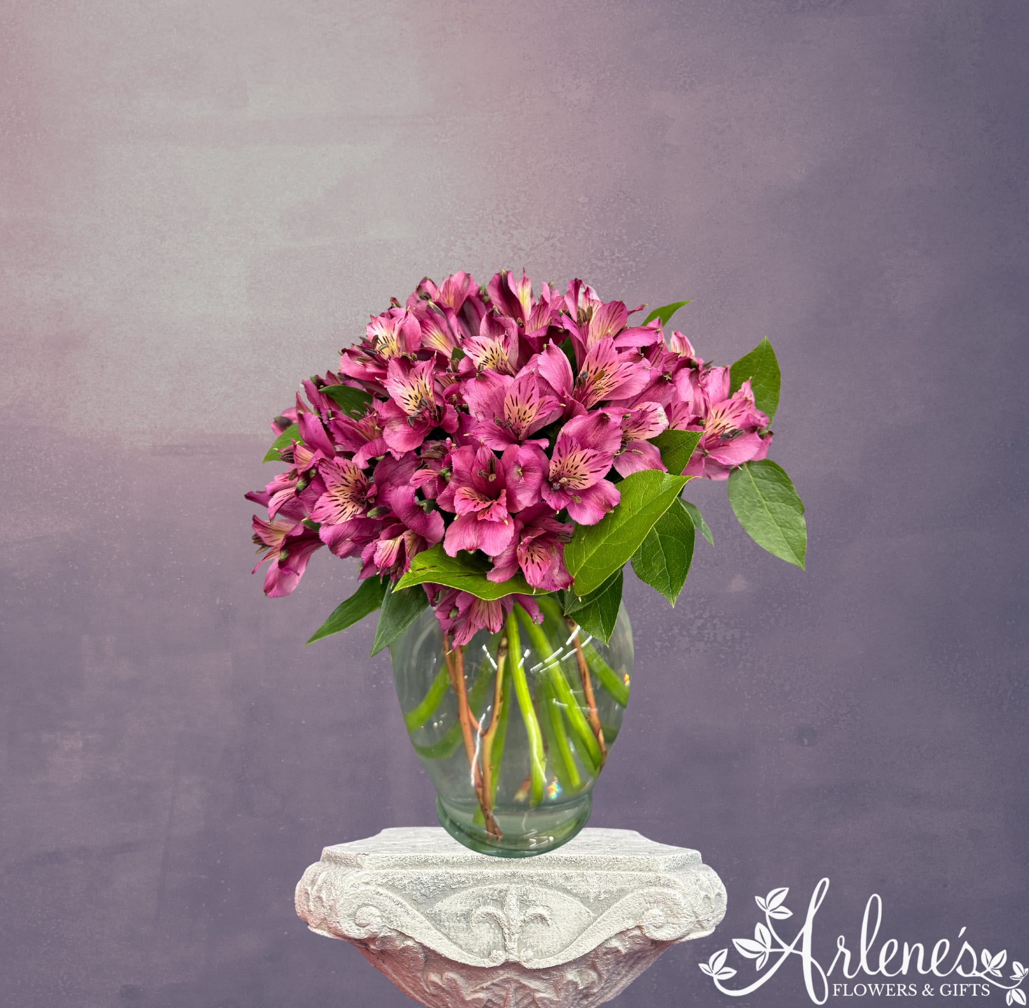 Alstro Perfect Bouquet (Colors May Vary) - This cute and simple arrangement of perfection alstro is just as perfect as their name. An all around bouquet of 10-12 stems of alstromeria flowers. Can be made of all one color or colors can be mixed. If you would like a different color just specify in the special instructions during checkout. They typically come in and we have on hand at all times: red, yellow, green, orange, pink, purple, lavender and red/orange. 