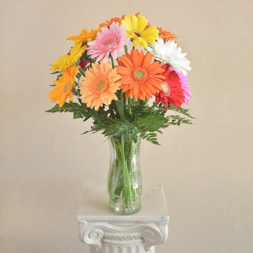 Slash of color Gerbera Daisy  - Variety of colors mixed Gerbera Daisy  arrangement