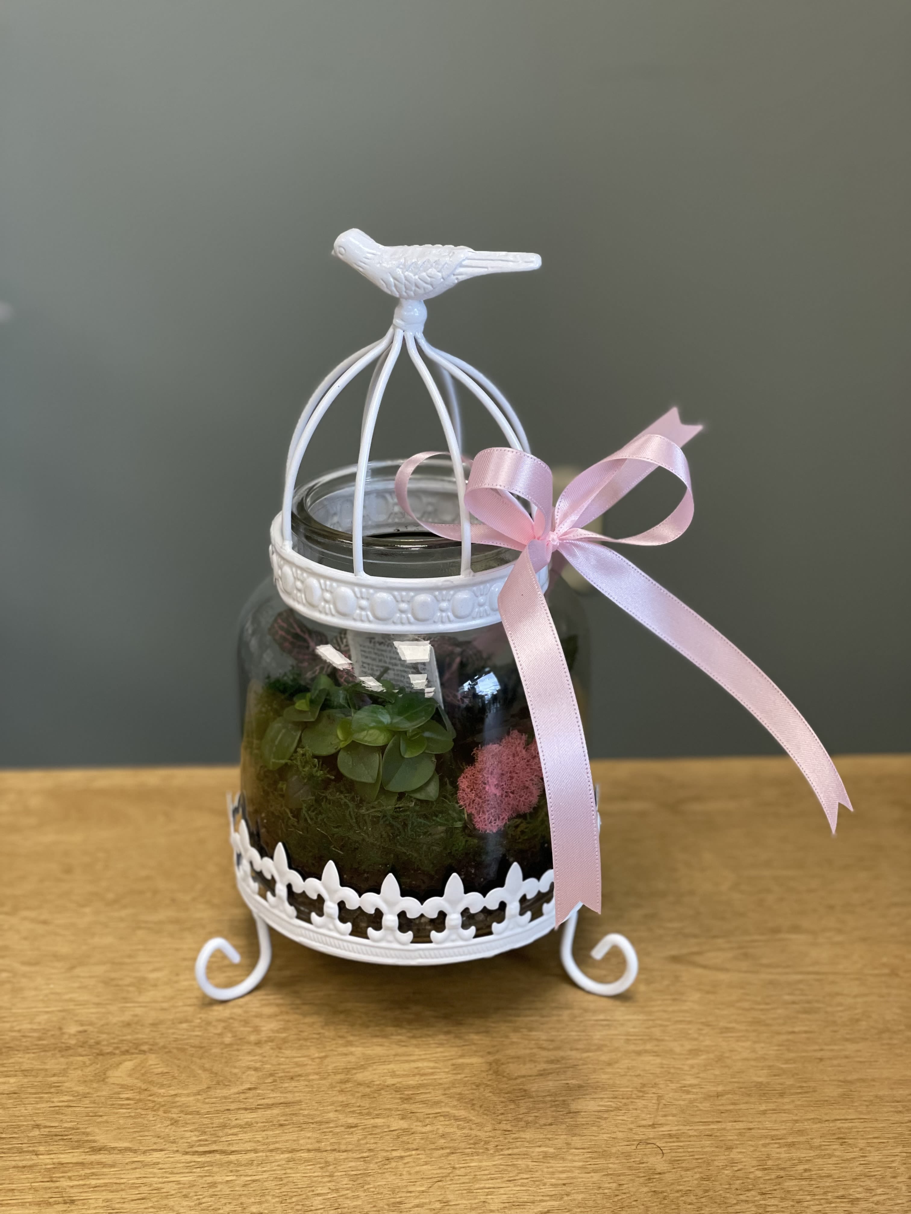 Birdcage Terrarium Birdcage Terrarium - Miniature green plants, arrive in a glass and metal terrarium - this lovely terrarium captures the plants as perfectly as it will capture that special someone's heart.