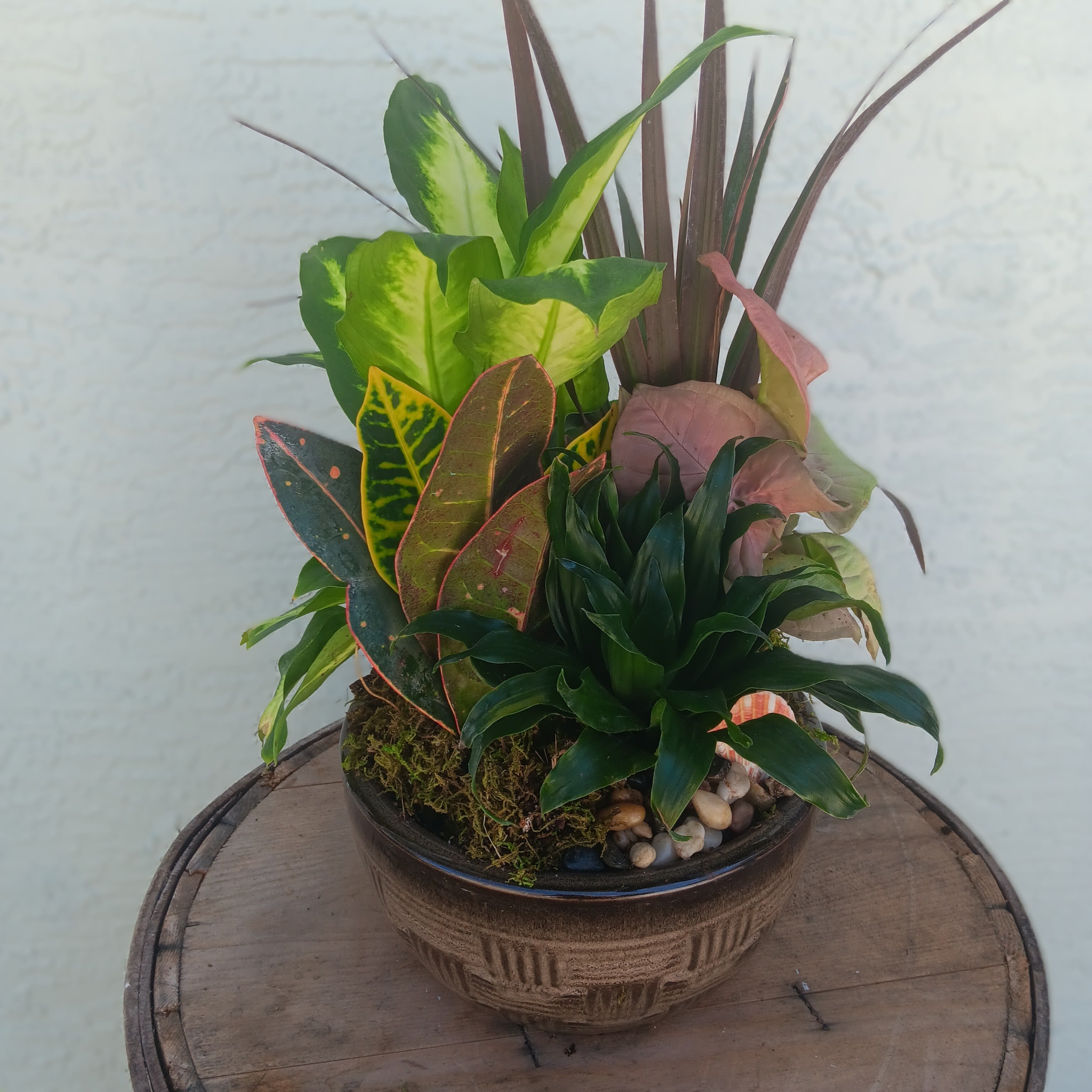 Dishgarden- Medium Dishgarden- Medium - Assorted green plants in 8" ceramic dish