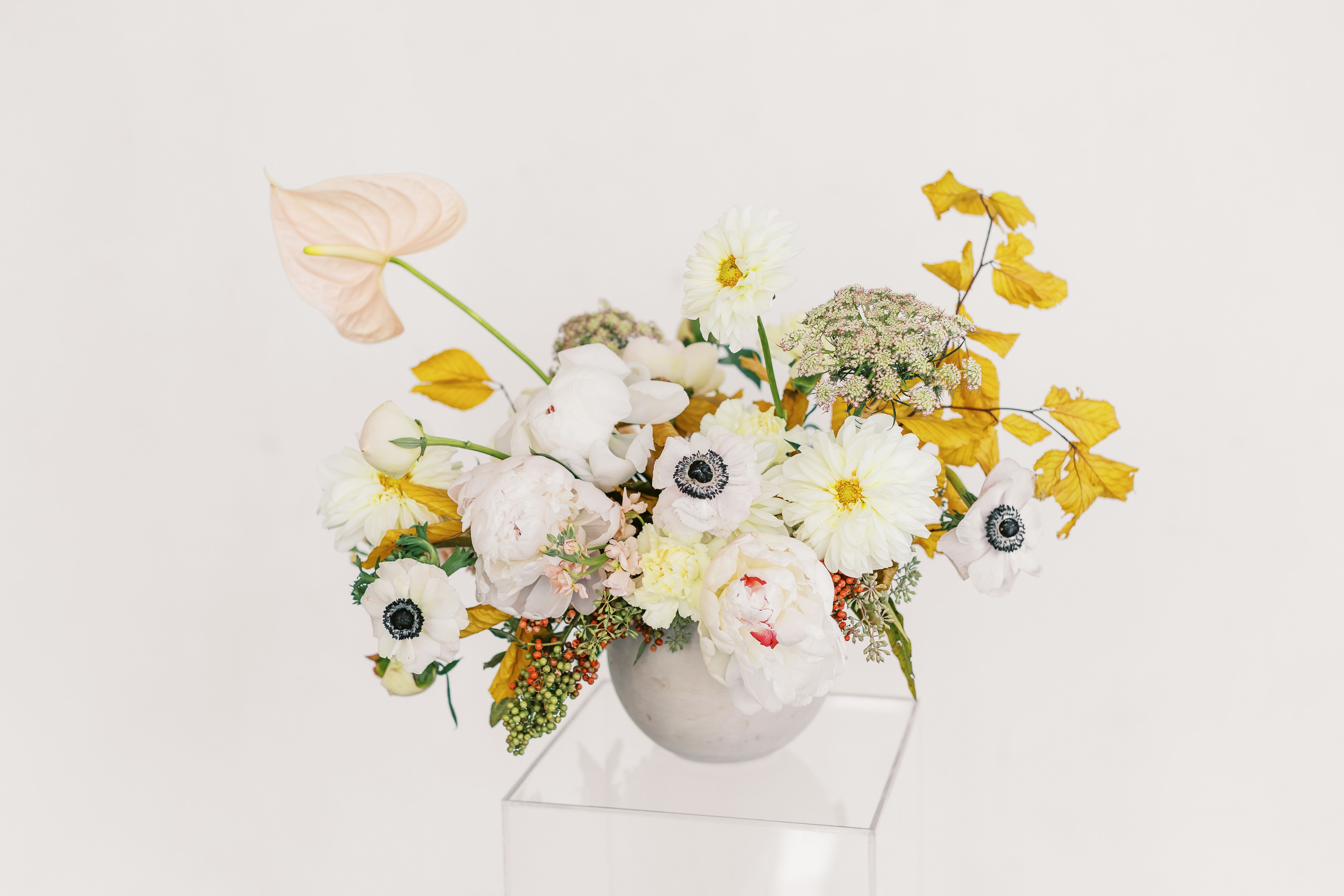 Designer's Choice Large  - Indulge in the beauty of bespoke floral artistry with our Designer’s Choice arrangements. Perfect for those who appreciate the elegance of fresh, hand-selected blooms styled with love and intention. Each arrangement is thoughtfully crafted to reflect timeless romance, opulence, and effortless charm— with a touch of our signature warmth.  Let us create something truly special, using the finest seasonal flowers to capture the essence of your moment. Whether it’s a heartfelt gift, an intimate gathering, or simply a way to bring beauty into your space, trust us to design a floral masterpiece that speaks to the heart.  Designed with love, styled for meaning.  -Folsom CA florist