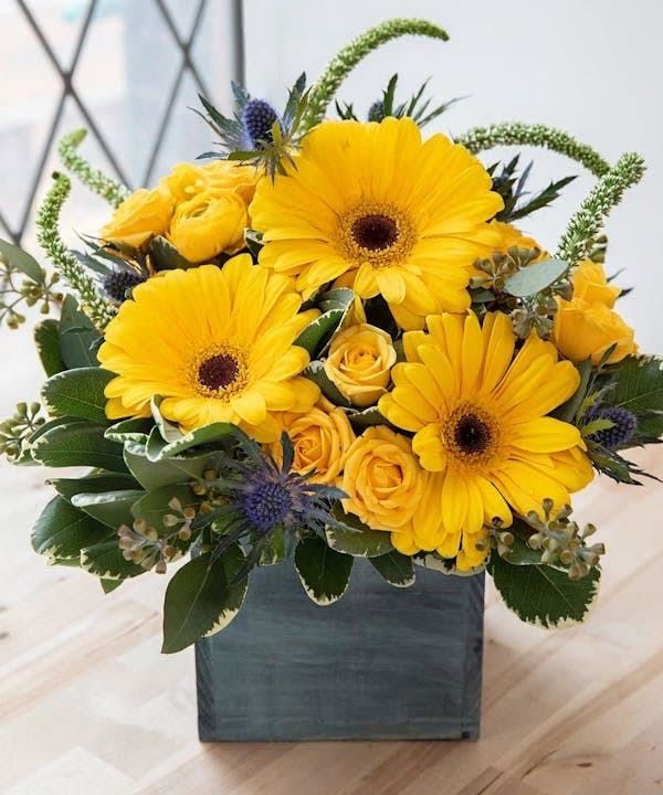 Your My Sunshine Bouquet - Brighten up someone's day with our Your My Sunshine Bouquet, a stunning arrangement of yellow gerbera daisies and roses, accented with lush greenery and delicate blue flowers. This cheerful bouquet is perfect for any occasion, spreading joy and warmth to those who receive it. The beautiful flowers are carefully arranged in a sleek gray square vase, making it a lovely addition to any room