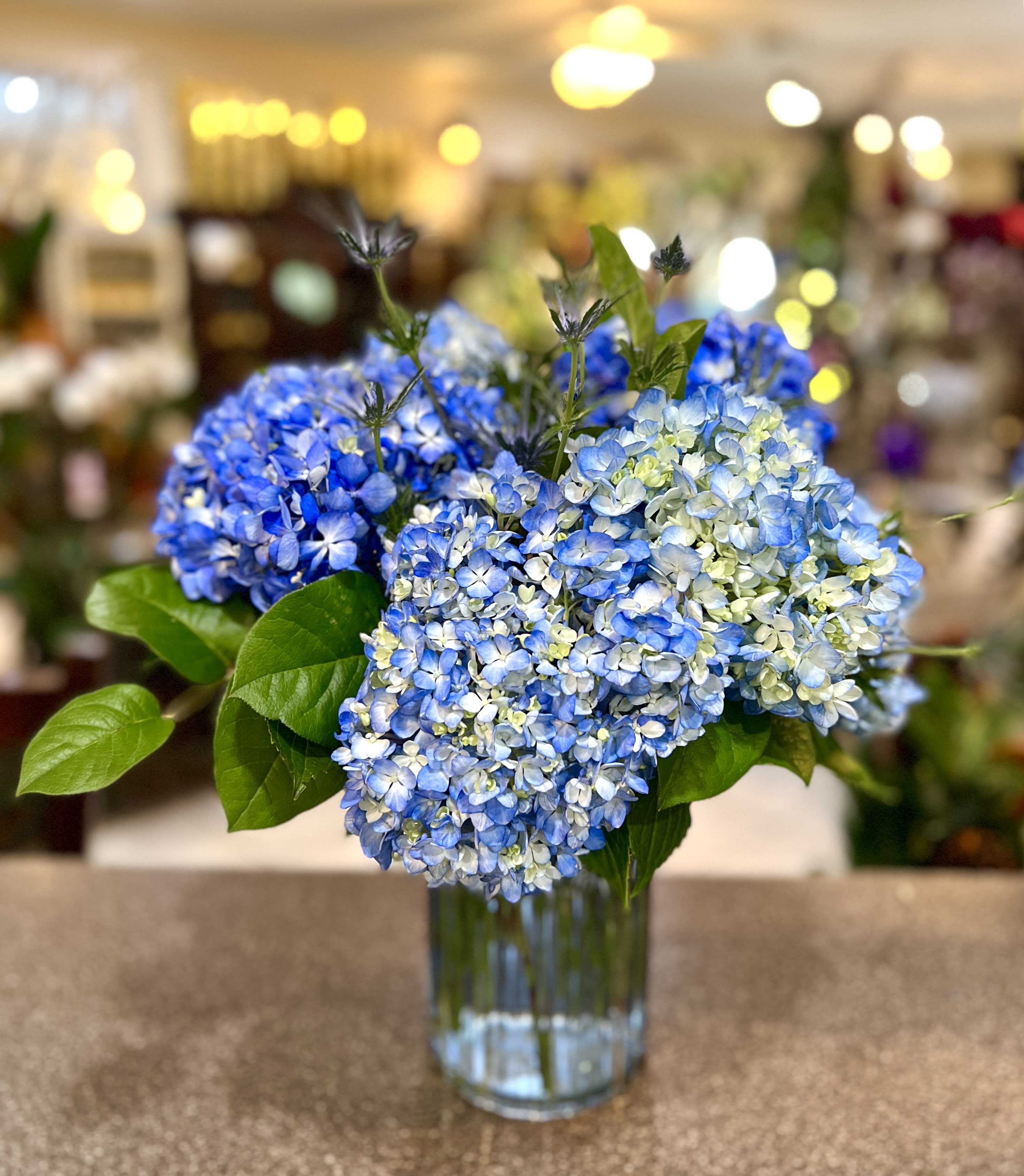 Beautiful in Blue - This beautiful arrangement of stunning Blue Hydrangea is sure to put a smile on any face! Only available for local deliveries.