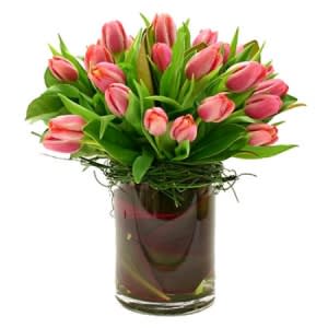 Modern Tulip Enhancement  - Enjoy this beautiful Modern Enhancement of Tulips, either a solid color or a mixed colored arrangement.  Standard 20 tulips  Deluxe 30 tulips  Premium 50 tulips  