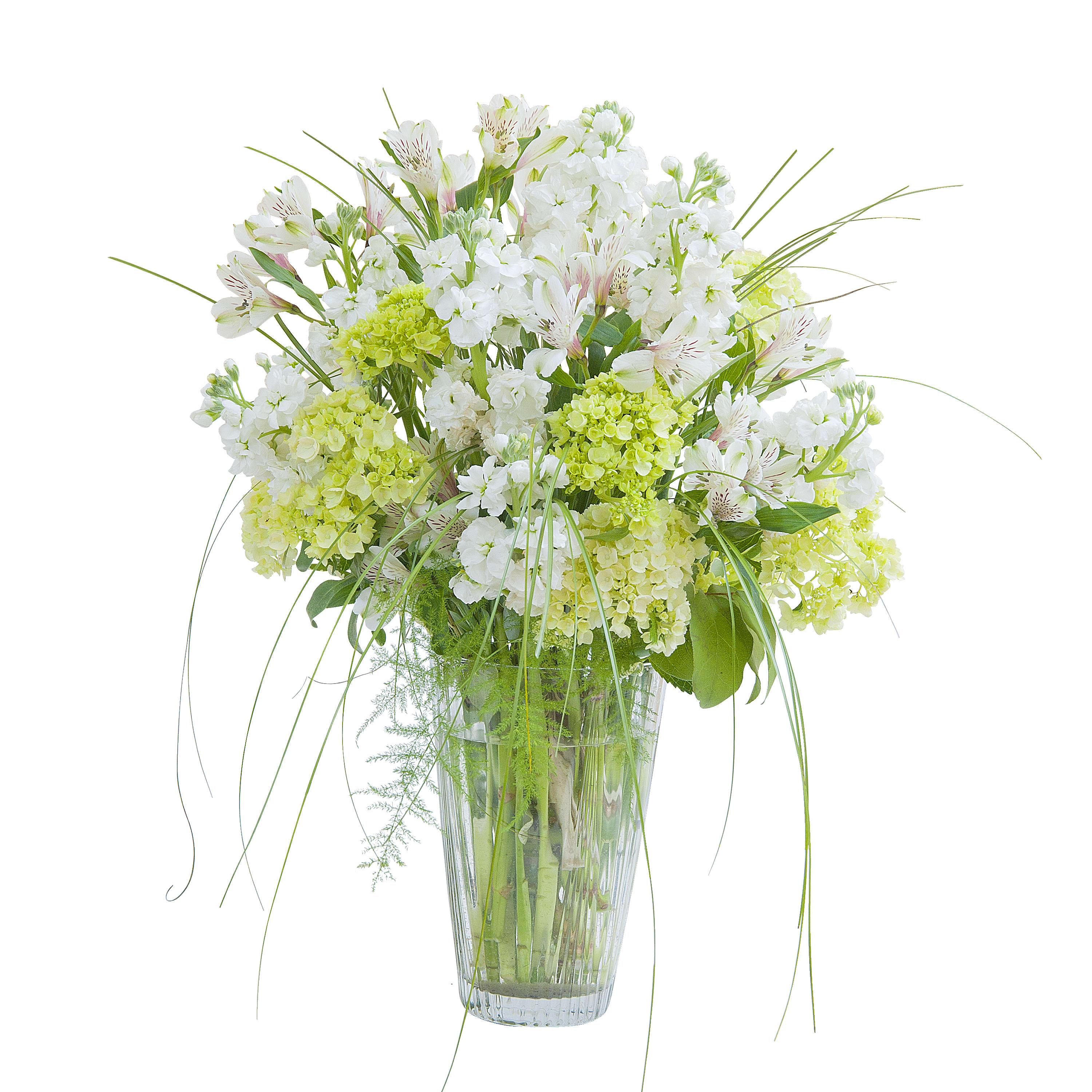 White Elegance Vase - A vase filled with beautiful white Alstroemeria and stock, accented with soft green Hydrangea and premium foliage. Approximately 12&quot; wide by 24&quot; high
