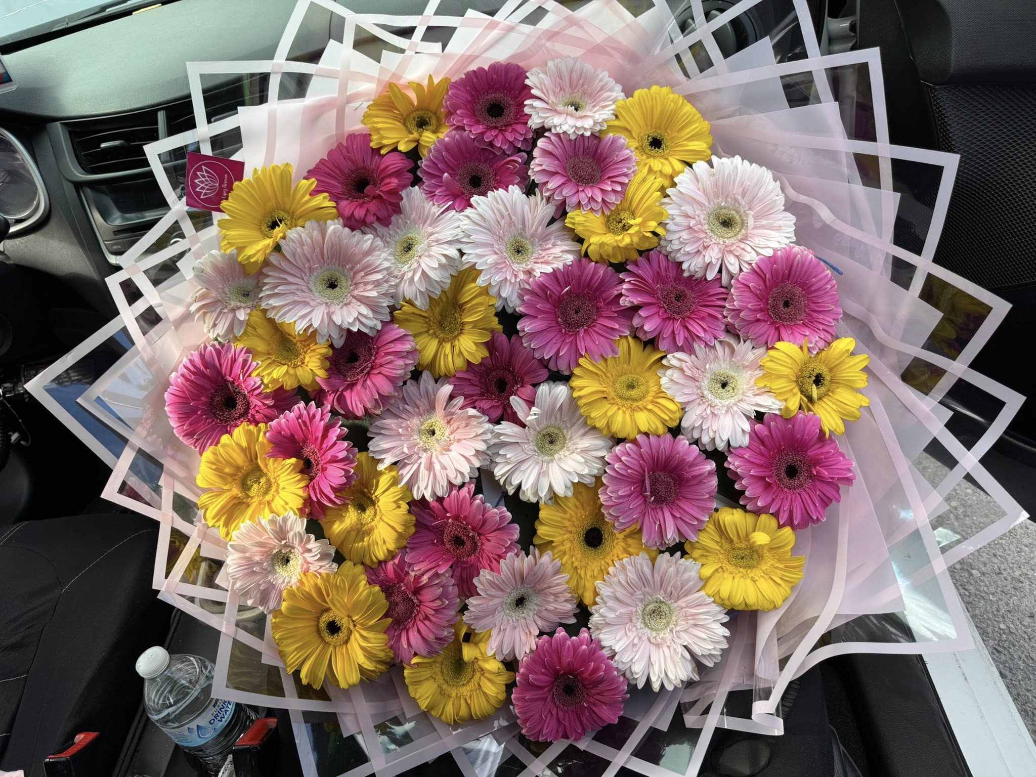 RAMO DE GERBERAS - BELLO RAMO DE 50 GERBERAS DE COLORES MIXTO PARA TU SER AMADO