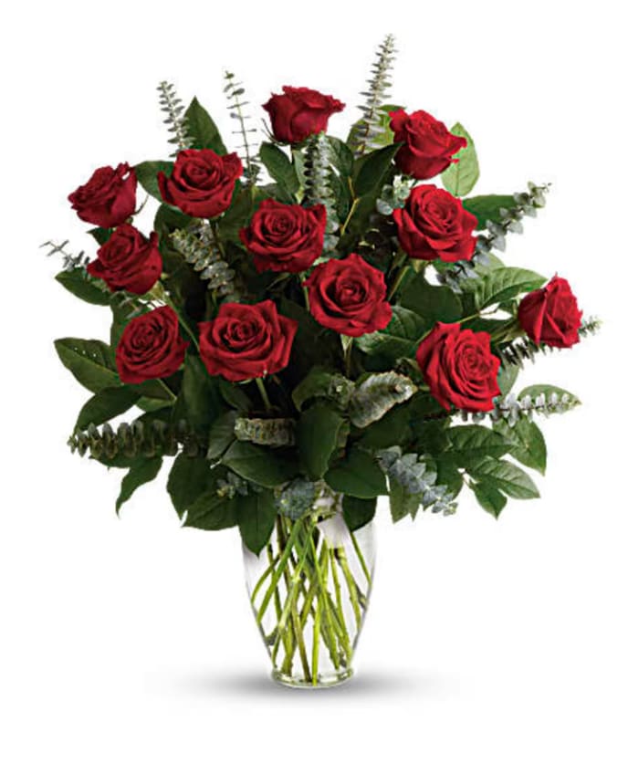 Sophia's Long Stemmed Red Roses - Sophia's classic one dozen red long stemmed roses are perfect for Anniversaries, Valentine's Day or Just Because. Arrangement will be presented as pictured. Deluxe and Premium will include babies breath or other complementary accent flowers with a matching ribbon.