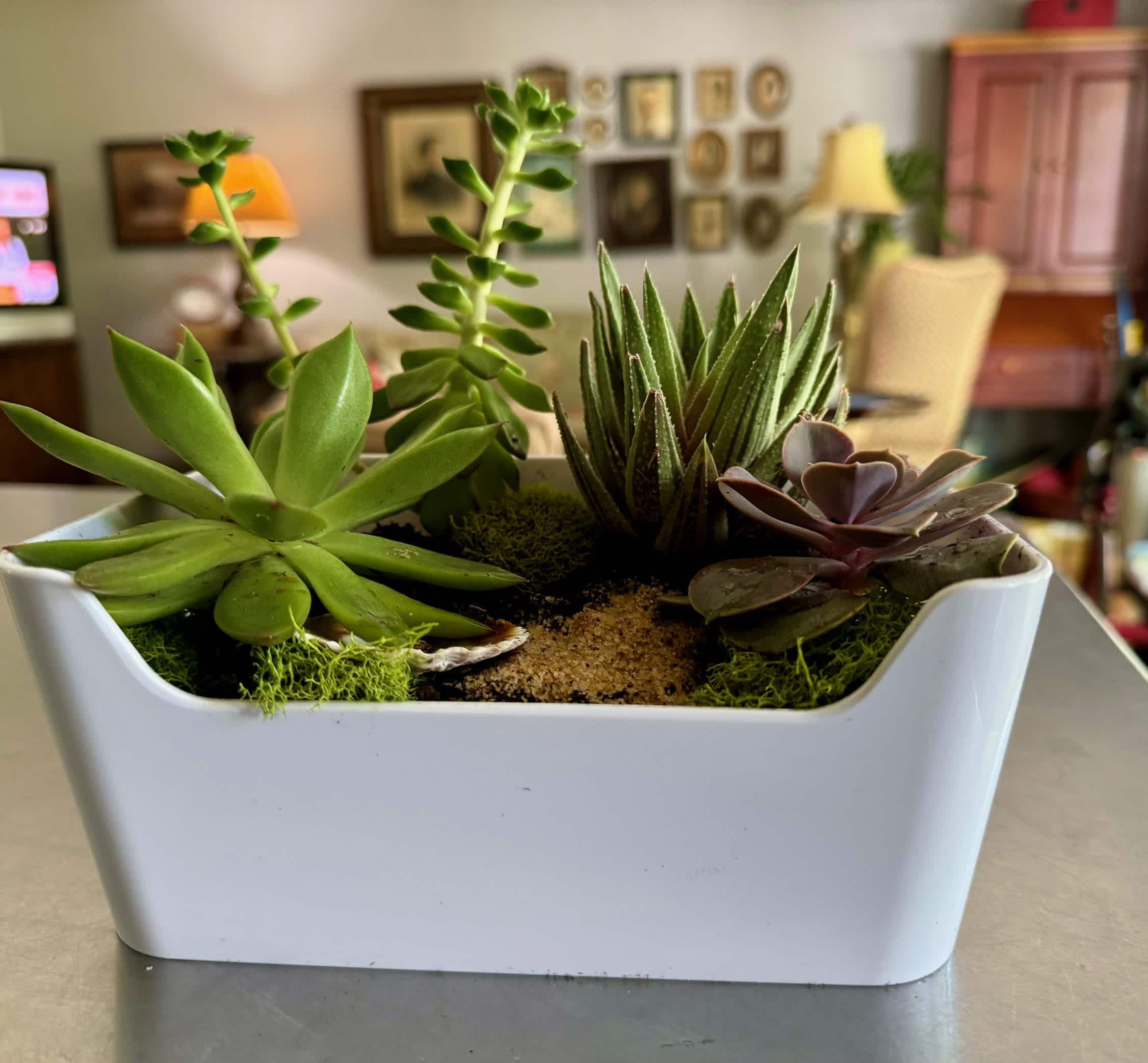 Succulent Landscape Succulent Landscape - A modern tray bringing a landscape to your desk or table.. Let us deliver this gift for your someone special