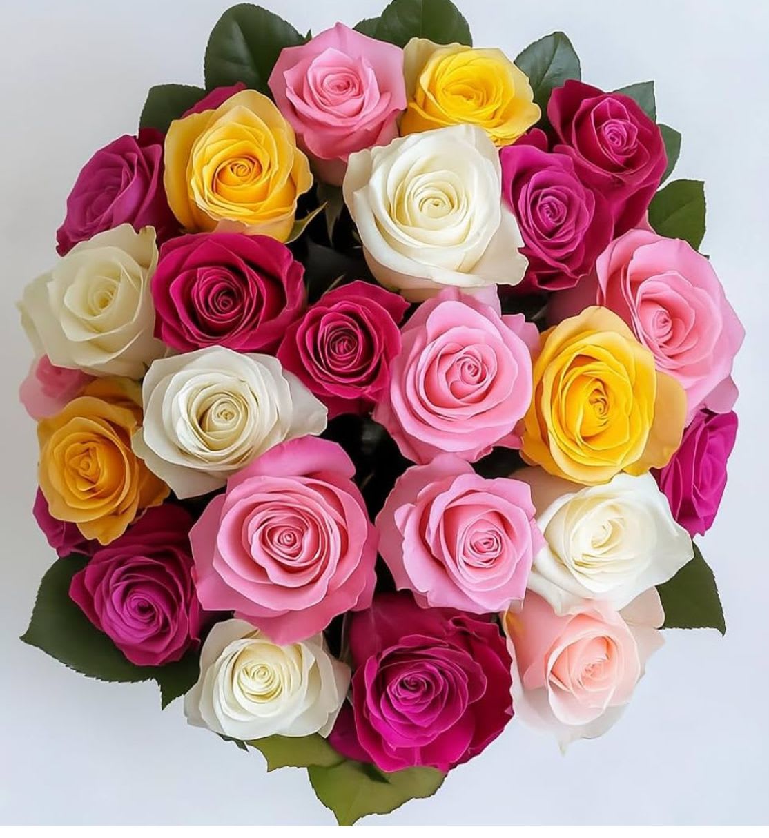 Multi colors 2 dozen roses bouquet - Multi colors 2 dozen roses bouquet