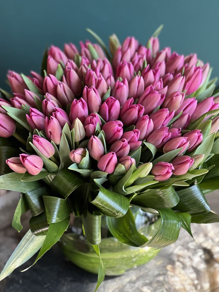75 Pink tulips in fishbowl vase - 75 Pink tulips in fishbowl vase with aspidistra leaves