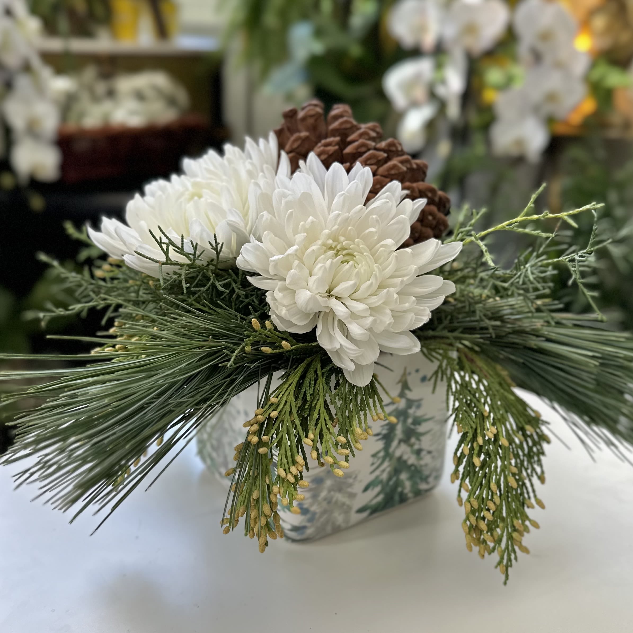 Stopping By The Woods Stopping By The Woods - A low winter ceramic cube, filled with lush evergreens, white mums and a susutainably harvested slash pinecone.