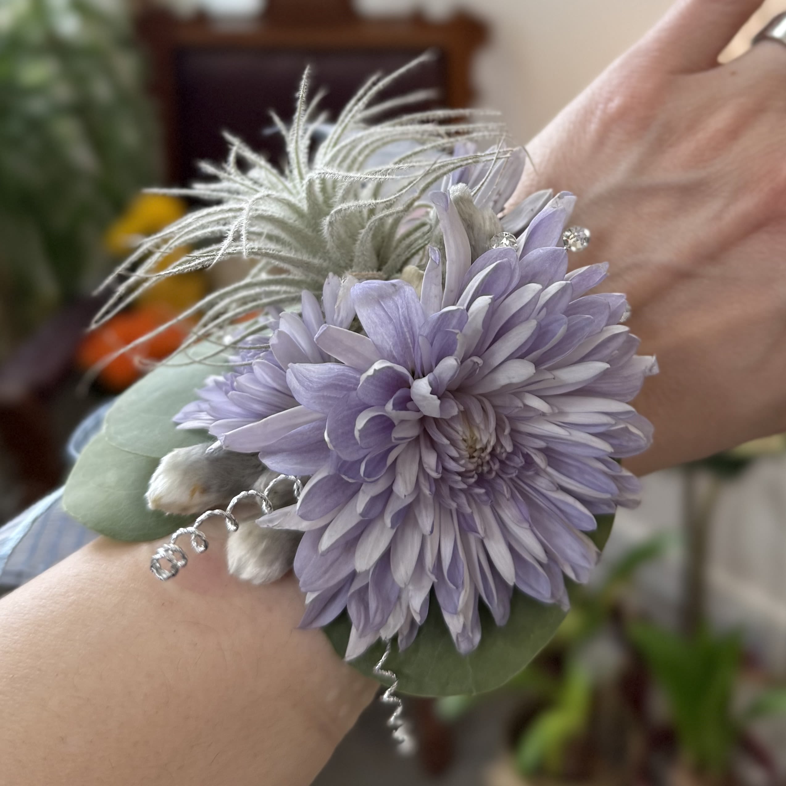 Song of the Sea Corsage - Beautiful Ocean series mums, a Tectorum air plant, blue green leaves and clear rhinestones combine in this delight, airy corsage, reminiscent of a sea breeze.