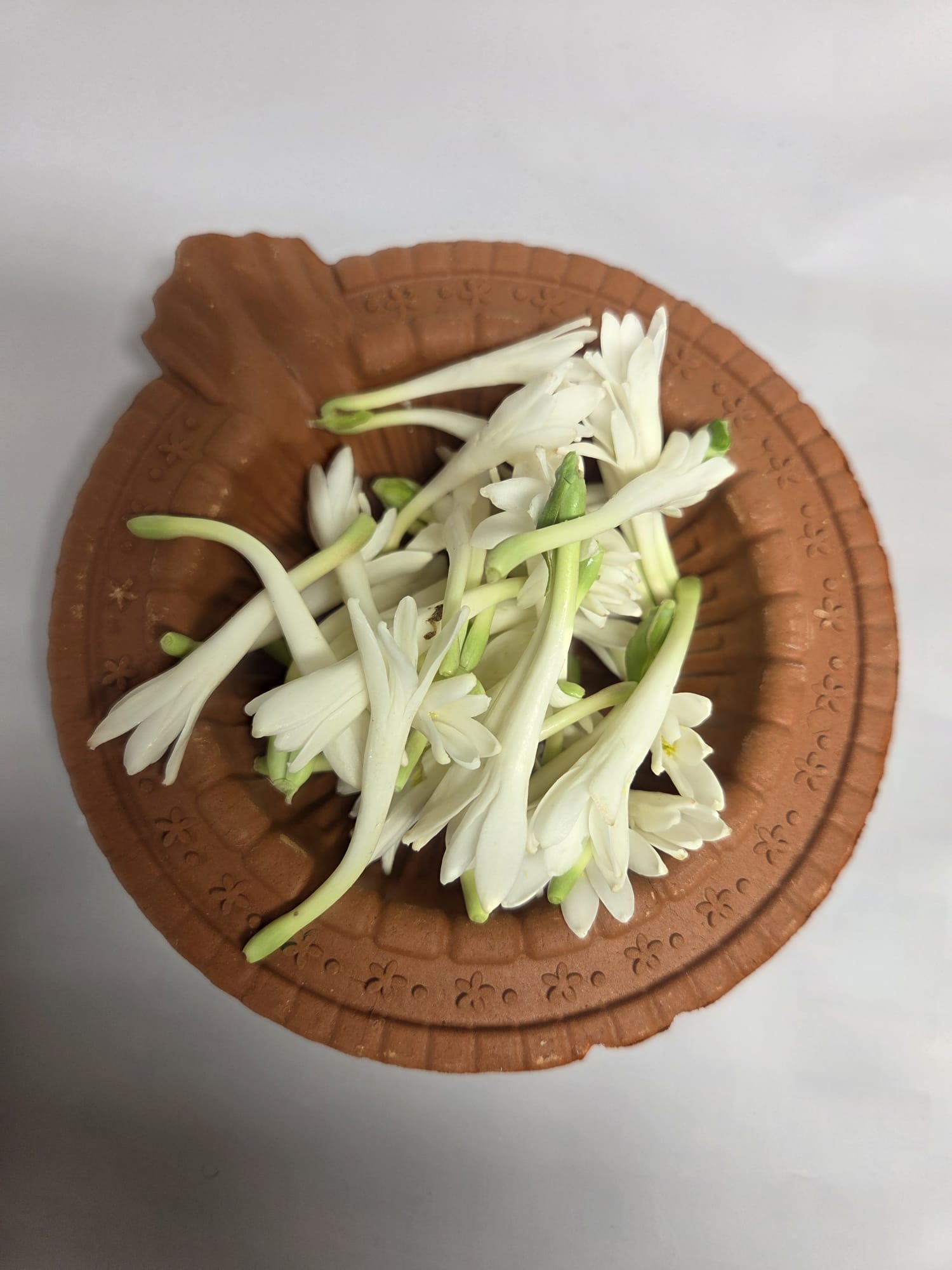 Sampangi - Tube Rose Flowers - Loose Sampangi - tube rose flowers pack