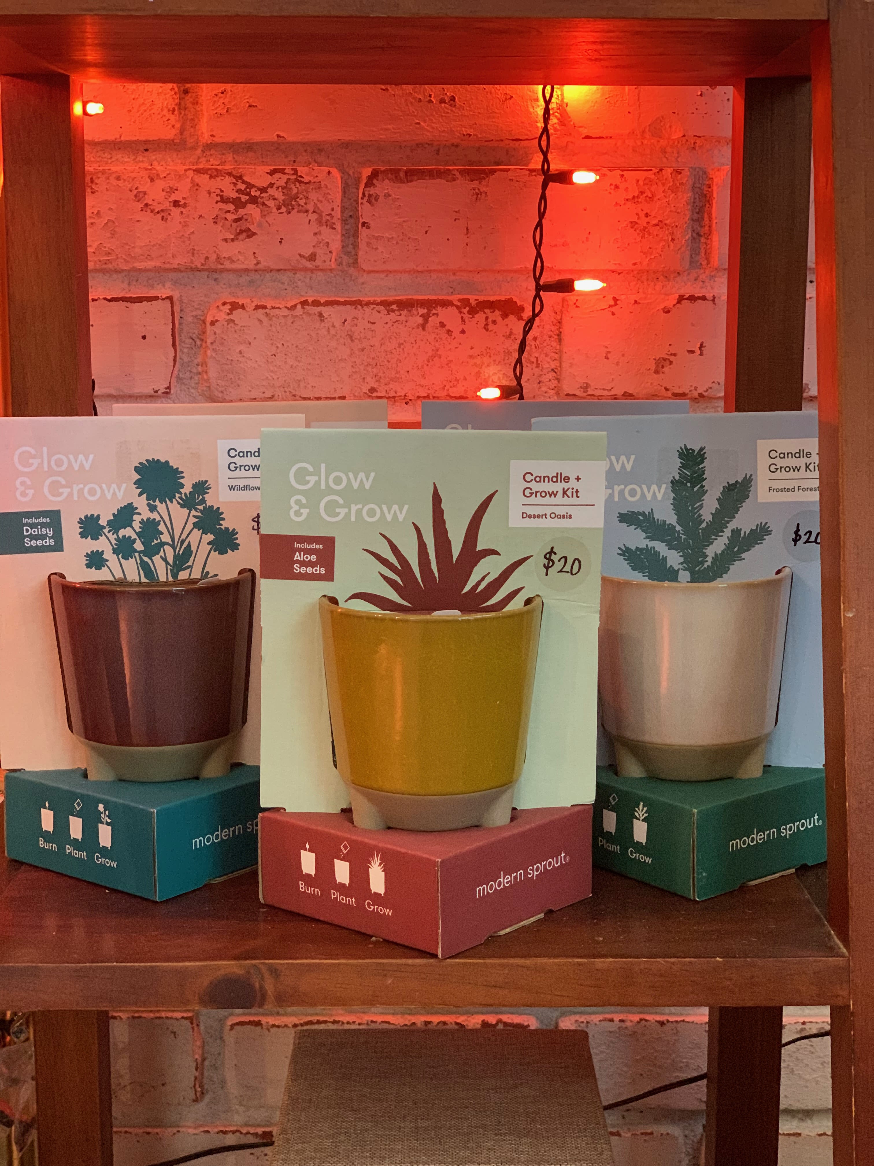Glow & Grow Candle Glow & Grow Candle - Candle + Grow Kit After enjoying your candle, repurpose your pot to replant the enclosed seeds. We will choose scent based on current availability, will vary.