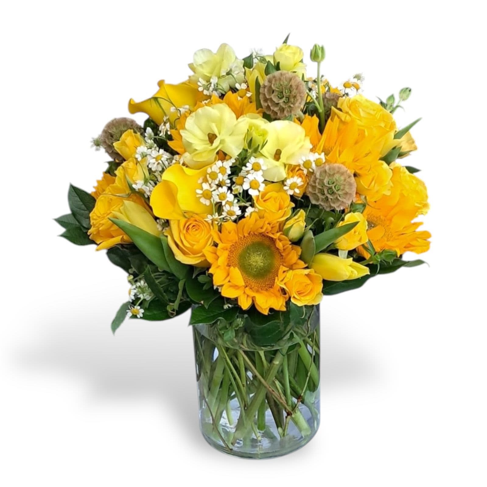 My Buttercup My Buttercup - This wonderous arrangement has calla lilies, sunflowers, chamomile, roses, and scabiosas in a 6 x 8 cylinder glass vase.
