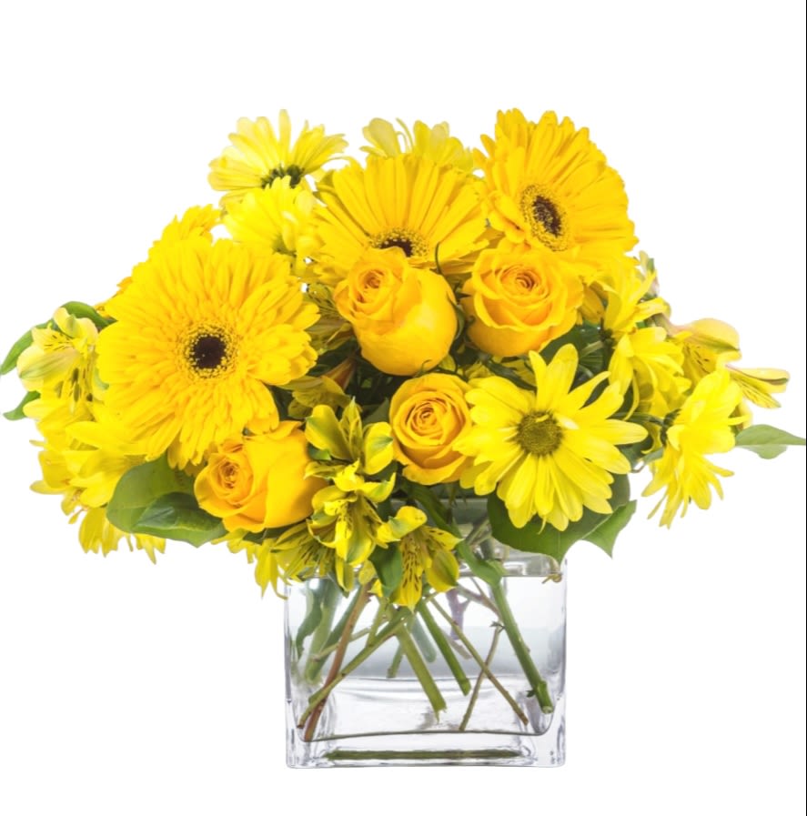 Lemonade Lemonade - This monochromatic arrangement can make anybody feel a little more cheerful. Lemonade by BloomNation™ lifts the spirits and makes you think of good old times. A perfect gift to send to somebody who needs a little extra joy in their life. Approximate Dimensions: 10"D x 10"H