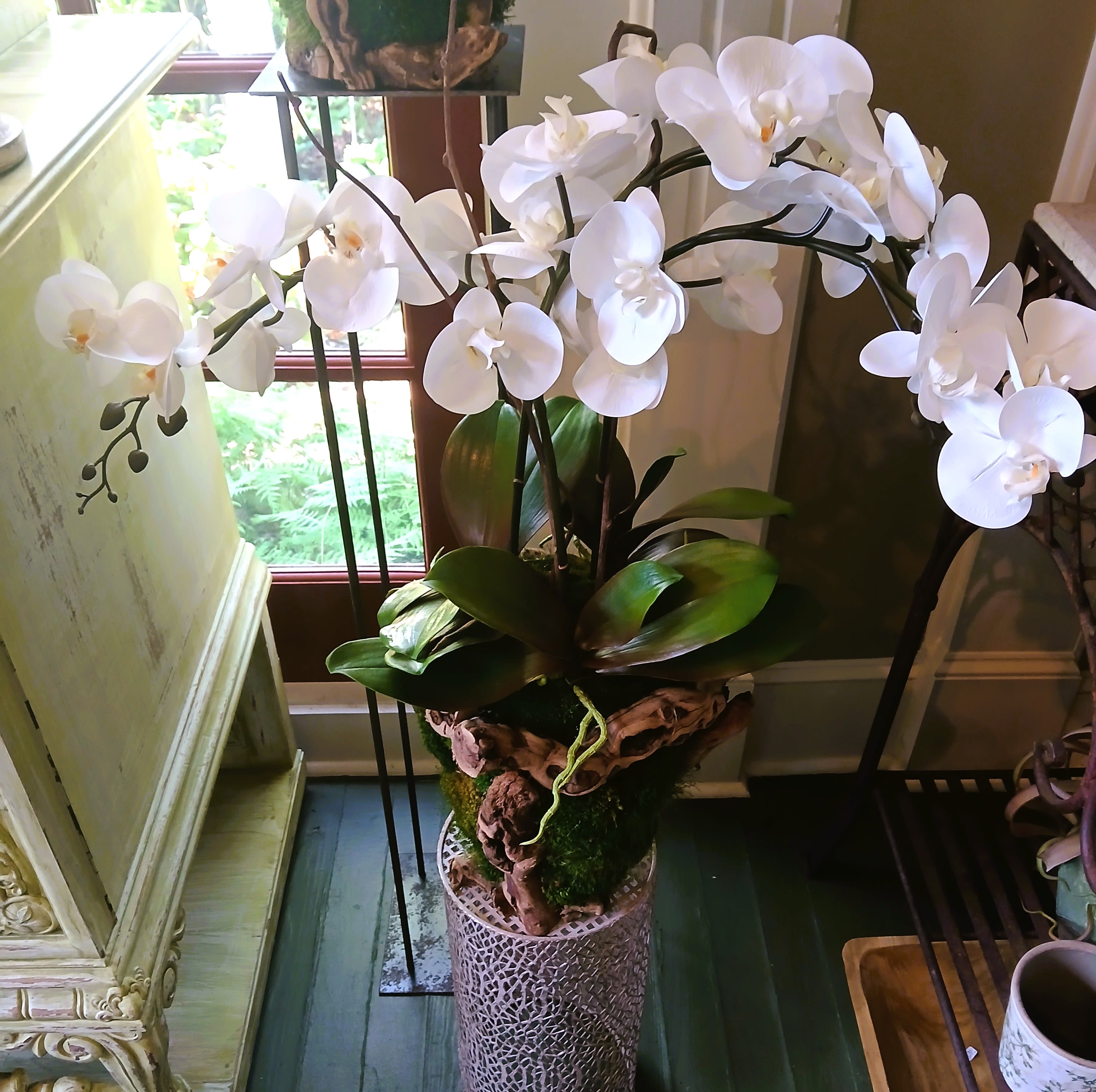 Permanent Orchid Planter - Permanent orchid plant in a California olive wood and preserved moss planter.