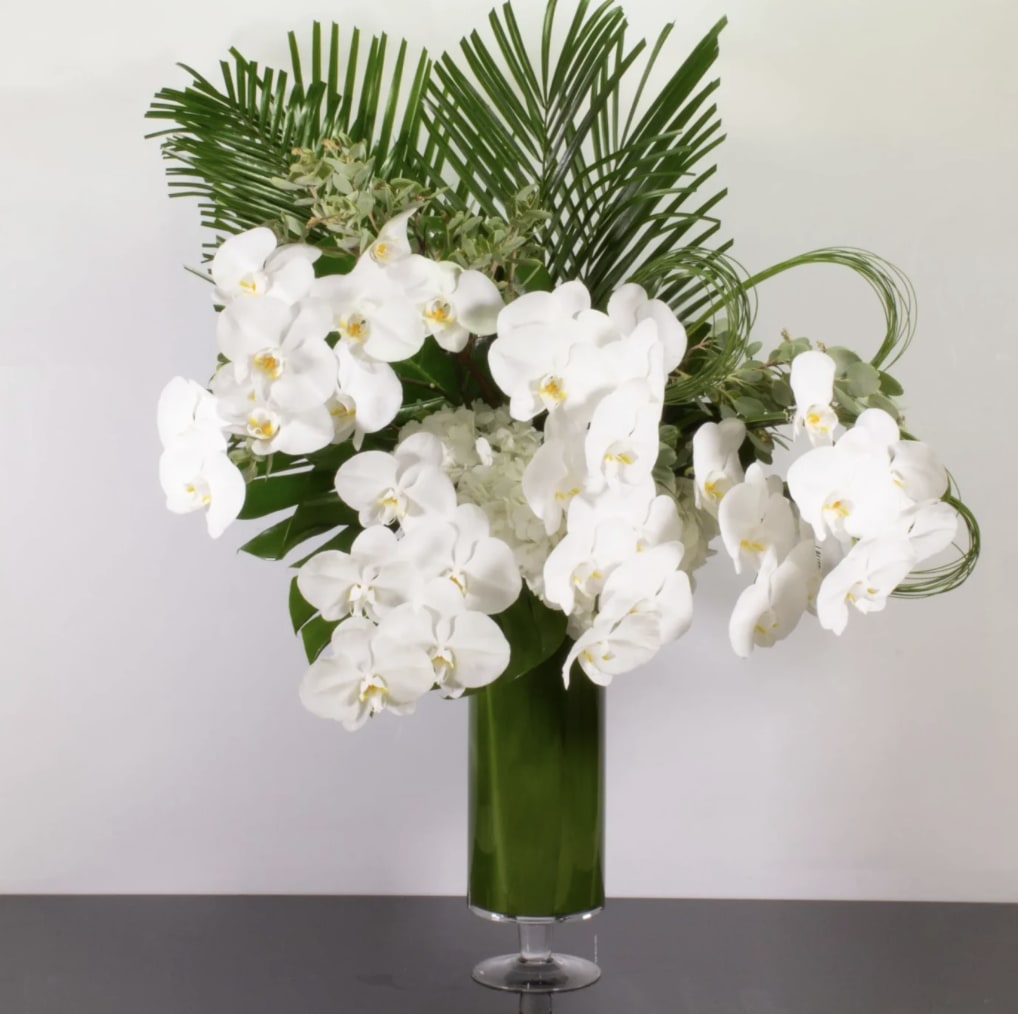 Tropical Orchids - These exquisite, sophisticated flowering Phalaenopsis Orchids are designed to add a touch of style to your space or to give as a gift.