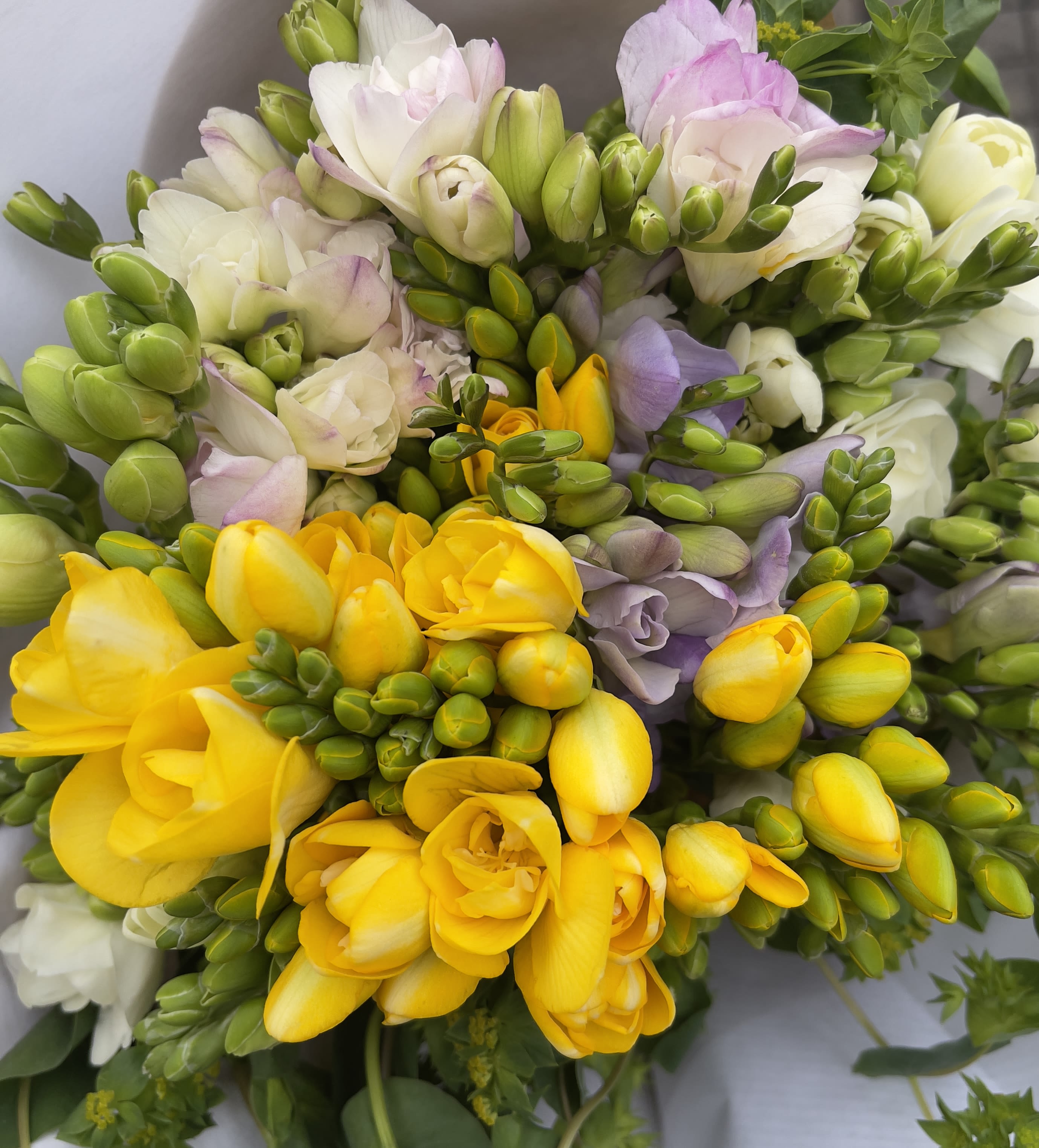 Fantastic Freesia Fantastic Freesia - Fantastic Freesia, an aromatic mixed freesia bouquet, perfect for any occasion