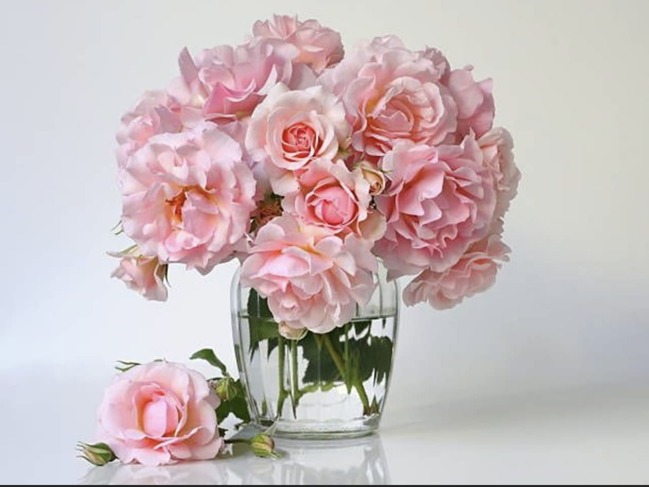 Blushing Beauty - Blushing Beauty bouquet, classic soft pink rose bouquet.