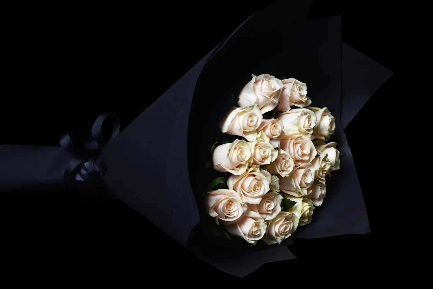 Two Dozen Wrapped Two Dozen Wrapped - Two Dozen white Roses wrapped.