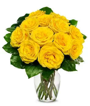  &quot;Sunshine Rose Elegance&quot; - A Bright &amp; Beautiful Expression of Joy  Let your message shine with the Sunshine Rose Elegance — a classic arrangement of a dozen vibrant yellow roses, artfully arranged with rich greenery in a sleek glass vase. These sunny blooms symbolize friendship, warmth, and happiness, making it the perfect gift for any joyful occasion.   Premium yellow roses  Hand-arranged in a clear glass vase  Ideal for birthdays, congratulations, or “just because”   Send a golden touch of cheer that brightens their entire day!