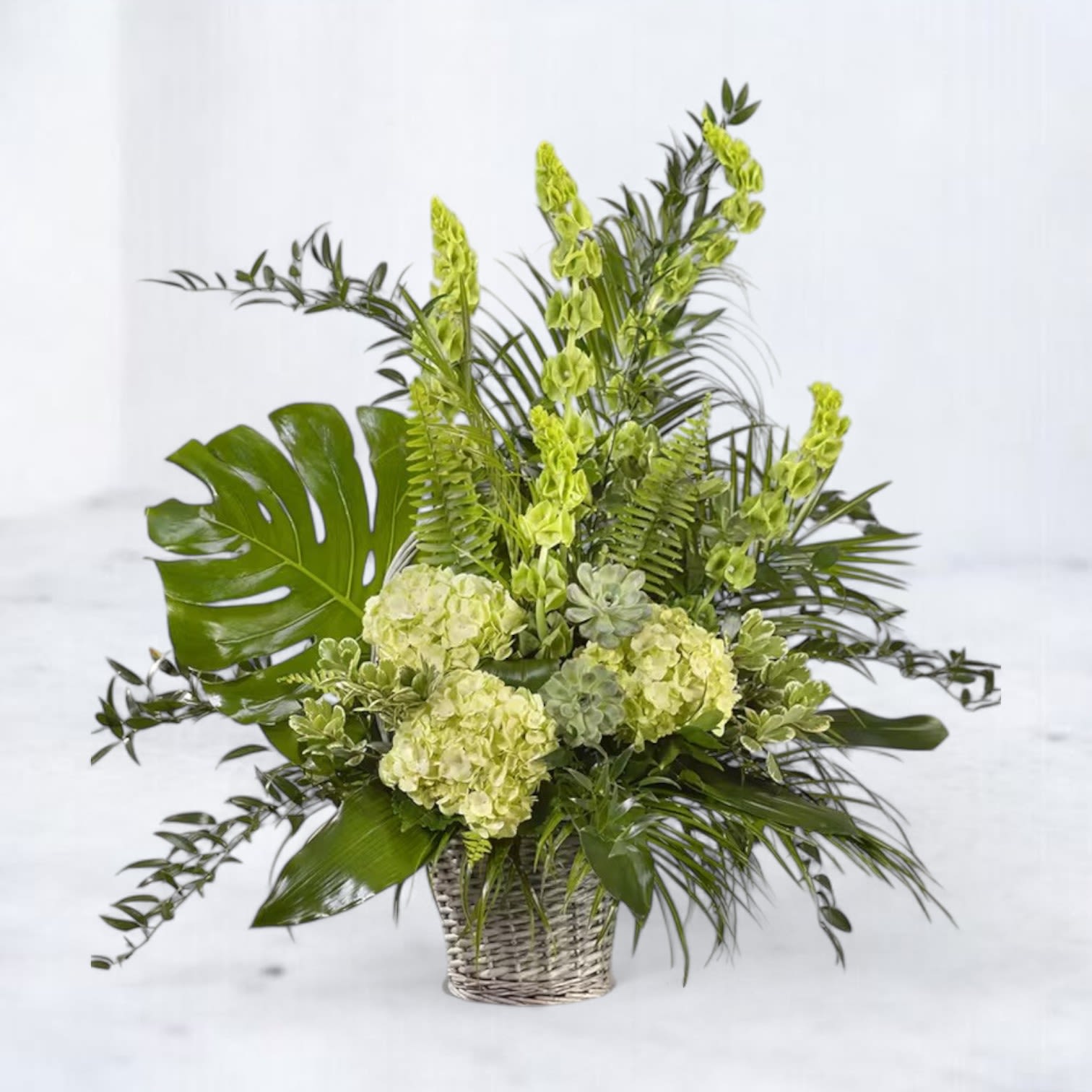 Verdant Oasis Basket Verdant Oasis Basket - Bring the soothing essence of nature indoors with the Verdant Oasis Basket, a lush arrangement brimming with green hydrangeas, towering bells of Ireland, and charming succulents. Accentuated by tropical monstera leaves and a cascade of fresh foliage, this design evokes serenity and renewal. Presented in a rustic woven basket, it’s perfect for celebrating life’s milestones, expressing sympathy, or simply brightening a loved one’s day with its verdant beauty.