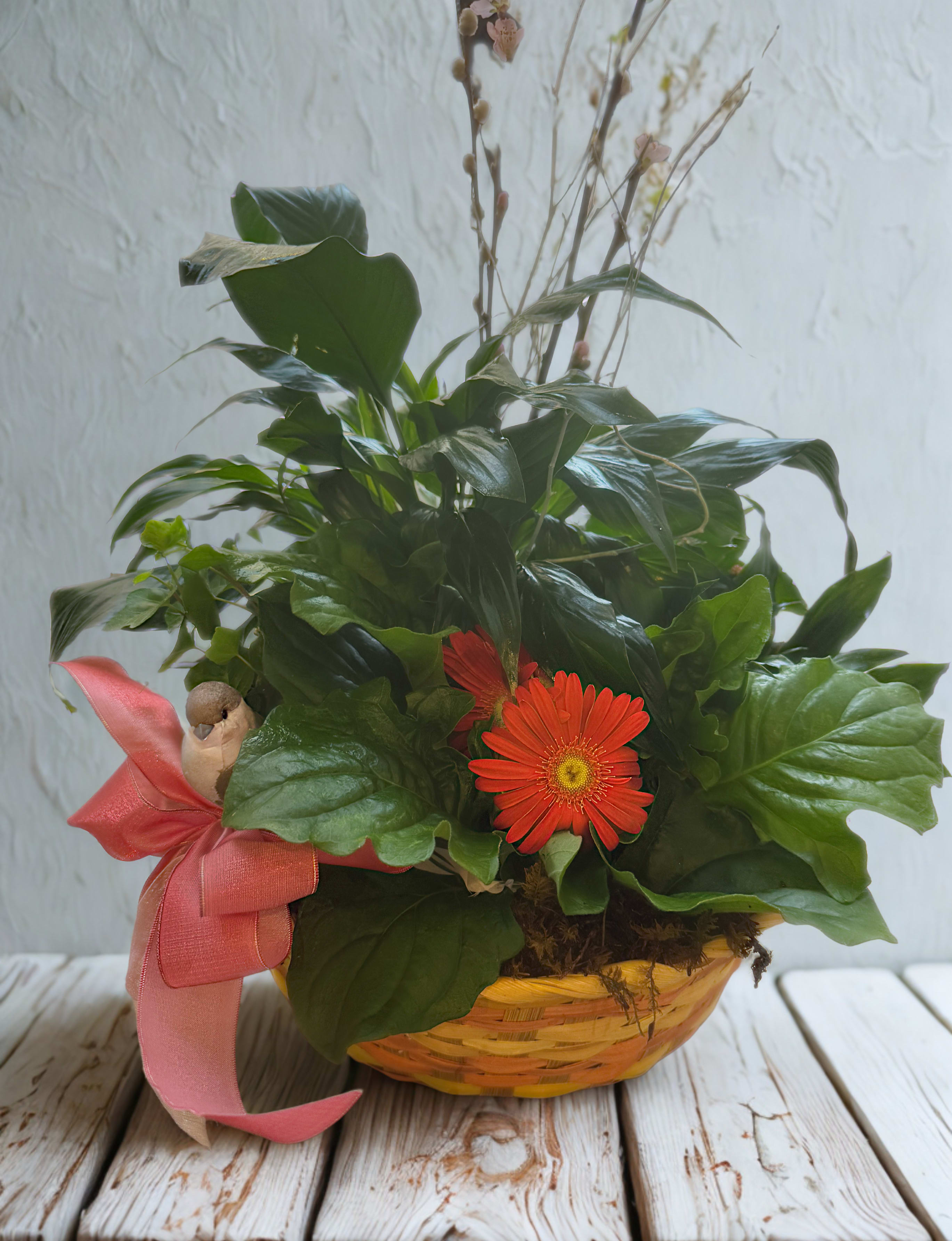 Spring Whimsy - This cheerful basket is brimming with lush green plants and a bright pop of color from a vibrant orange gerbera daisy. Finished with a playful pink bow and a sweet bird accent, it’s a whimsical gift that brings warmth and joy to any space.