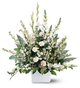 White Expressions Basket White Expressions Basket - If you want to pay tribute in a grand manner, send this impressive arrangement of white flowers. They'll convey exactly how you feel. One funeral basket arrives with white carnations, gladioli, larkspur and snapdragons in a traditionally styled design. Approximately 33" W x 38" H Orientation: One-Sided
