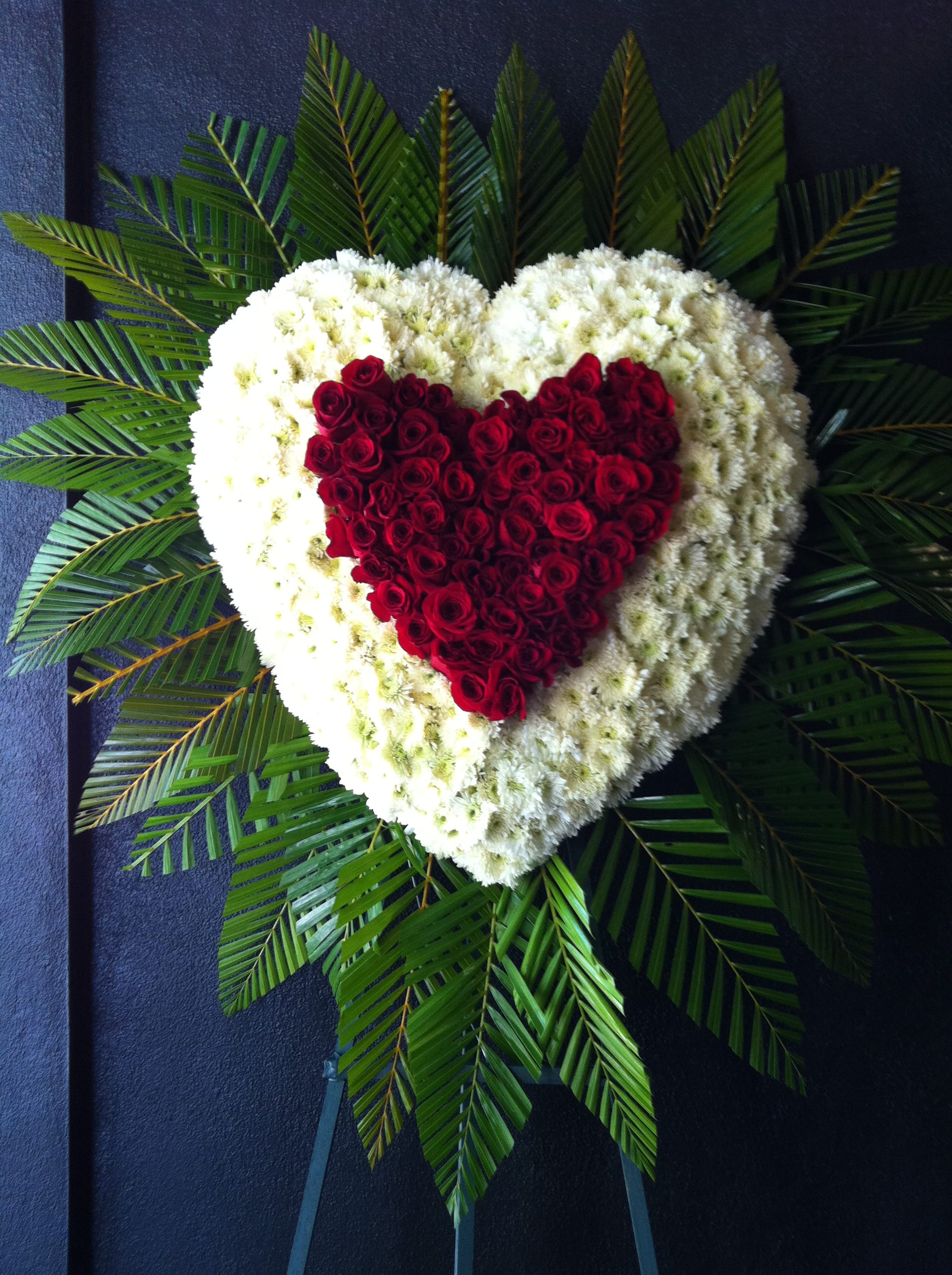 Heart shape red Roses within heart shape white mums surrounded by a fan of palm leaves - F30013 Heart shape red Roses within heart shape white mums surrounded by a fan of palm leaves - F30013 - Heart on heart of red Roses within a bed of heart shape white mums, palm leaves surround makes it spectacular.