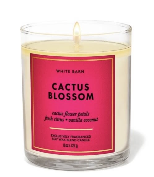 Single Wick Candle -Cactus Blossom  - Single wick candle - 8oz 