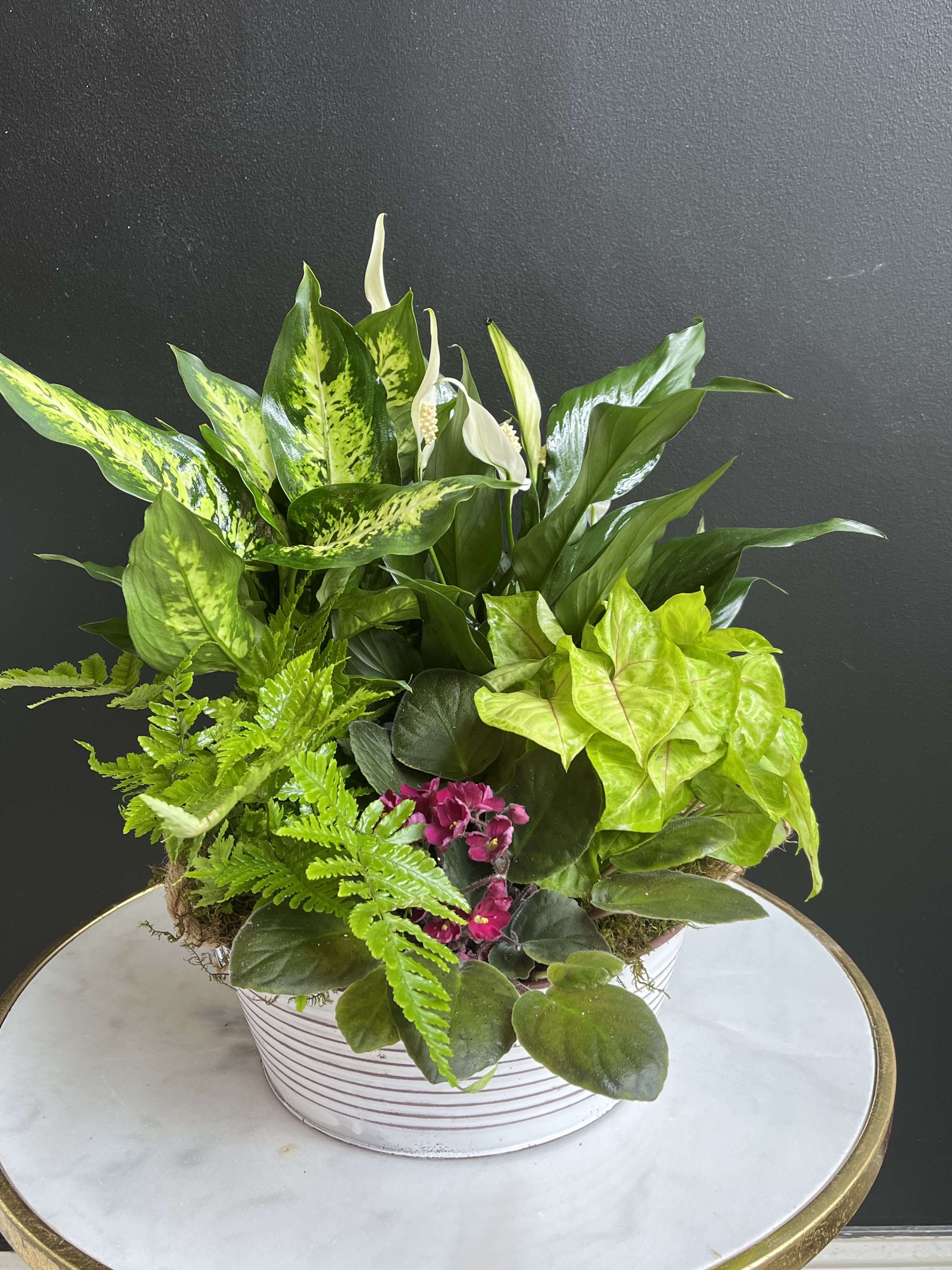 10&quot; Ceramic Garden Dish - Garden of green and blooming plants in a basket or ceramic container. Designs may vary, however, arrangement will be similar in look and feel. Blooming plants vary in color.   *Plants may vary *Container may vary