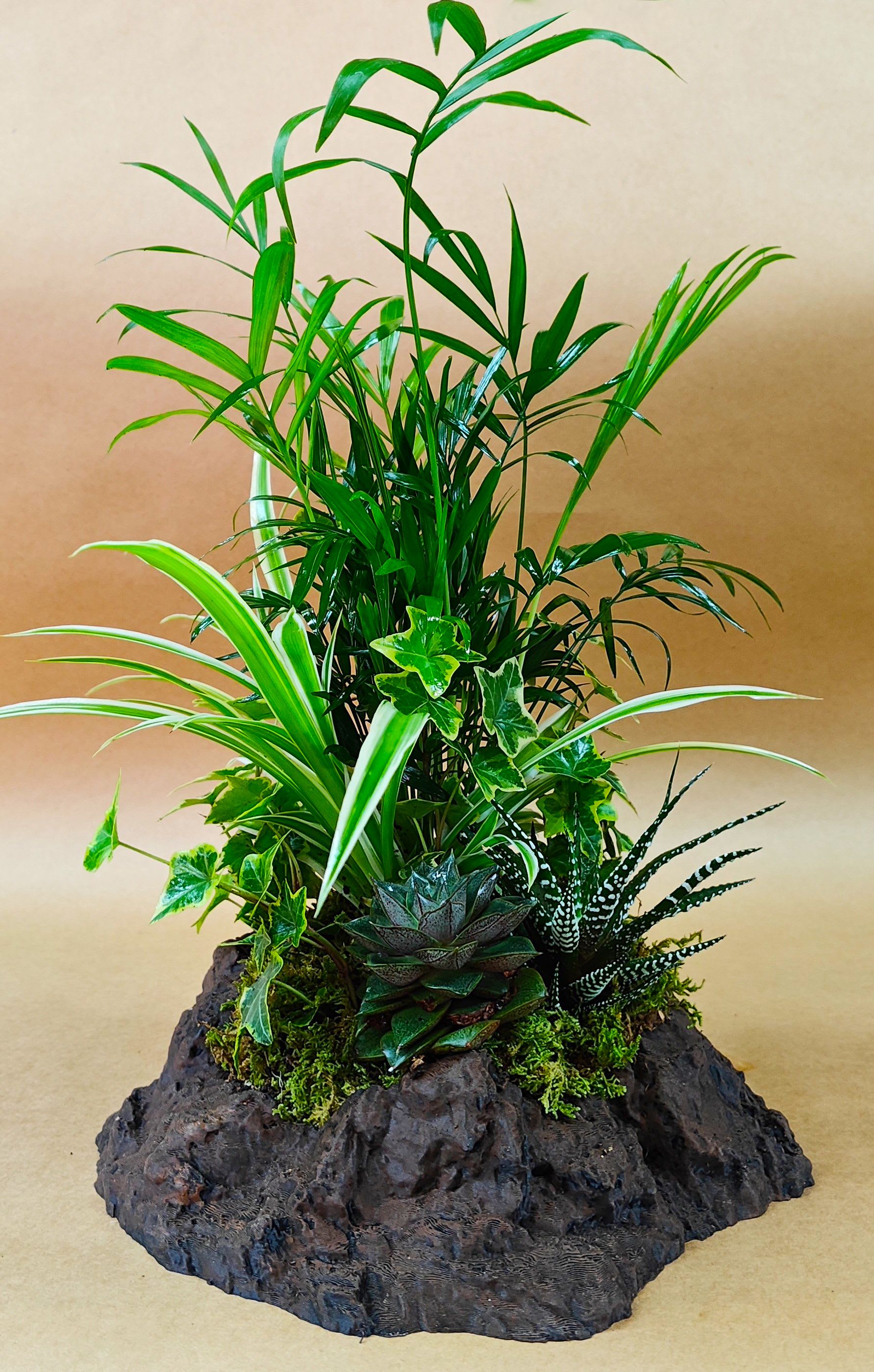 The Rock Garden - Miniature green plants arranged in a lava rock container. Beautiful accent to any home or office.
