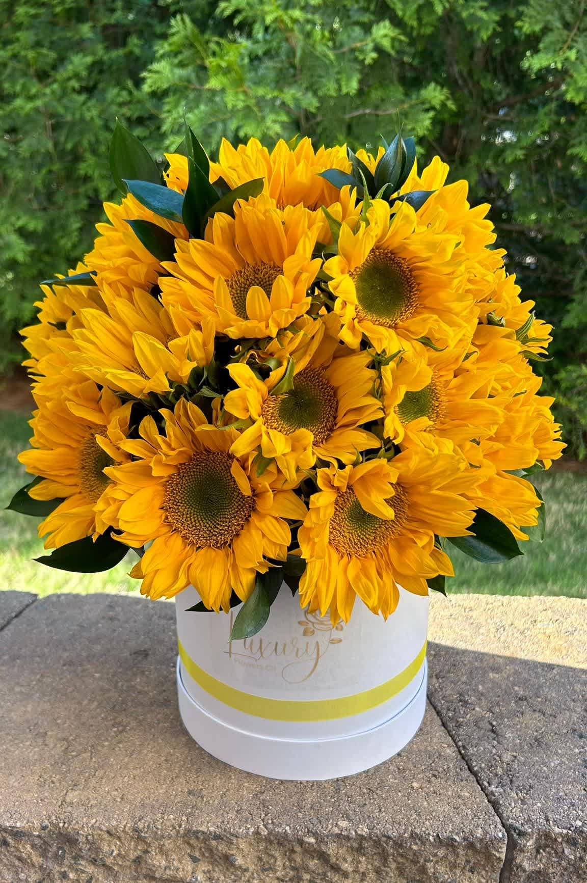 Sunflowers Power - If you’re looking for where to buy sunflowers, Luxury Flowers CLT can help! After all, what’s more joyful than a sunflower? Symbolizing loyalty, constancy, and devotion, sunflowers are a perfect floral gift for all occasions. All Occasion Place your Order Online Monday to Saturday before 1:00 p.m. (E.T.) for same-day delivery.  “Orders received after hours will be delivered the next business day”. Check our coverage area. Occasionally, flowers or containers substitutions happen due to weather, seasonality, and market conditions, which may affect availability. If this is the case with the gift you’ve selected, we will ensure that the style, theme, and color scheme of your arrangement are preserved and will only substitute items of equal value or higher value  CARE INSTRUCTIONS Gently mist the arrangement with natural water every other day. Do not spray any cleaning product on the flower arrangement. Do not place heavy objects directly on the flower arrangement. Keep them out of direct sunlight and extreme heat. 