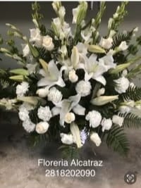 Forever Remembered  - A red, white, tribute funeral basket featuring red roses, hydrangea,  and white stock. Fitting for any type of funeral ceremony.
